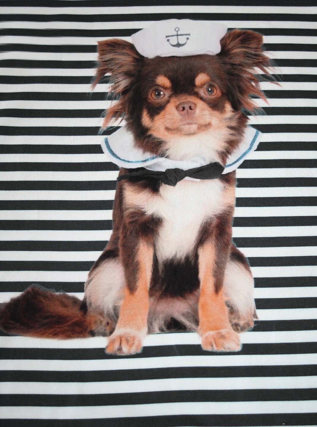 larissastoffe Stoff Baumwolljersey Stoff Panel Hund Chihuahua