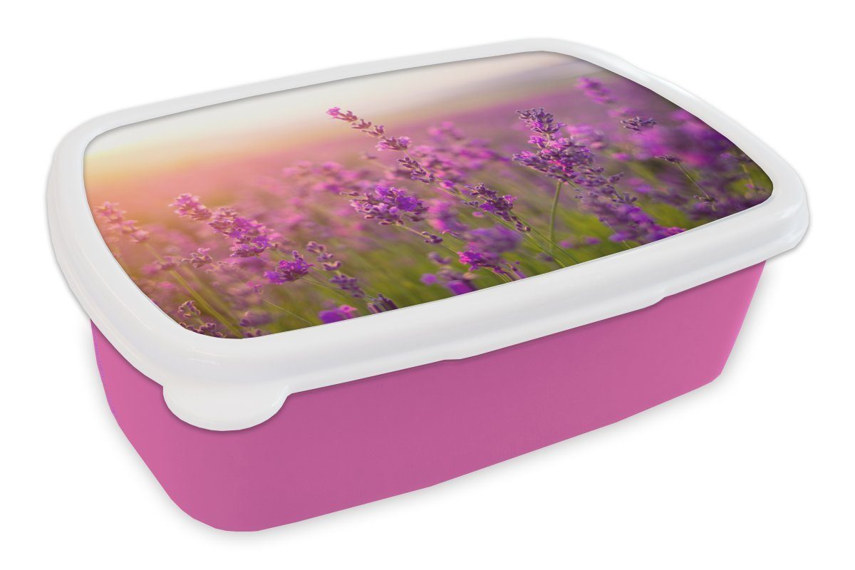 MuchoWow Lunchbox Lavendel - Frühling - Lila, Kunststoff, (2-tlg), Brotbox für Erwachsene, Brotdose Kinder, Snackbox, Mädchen, Kunststoff rosa