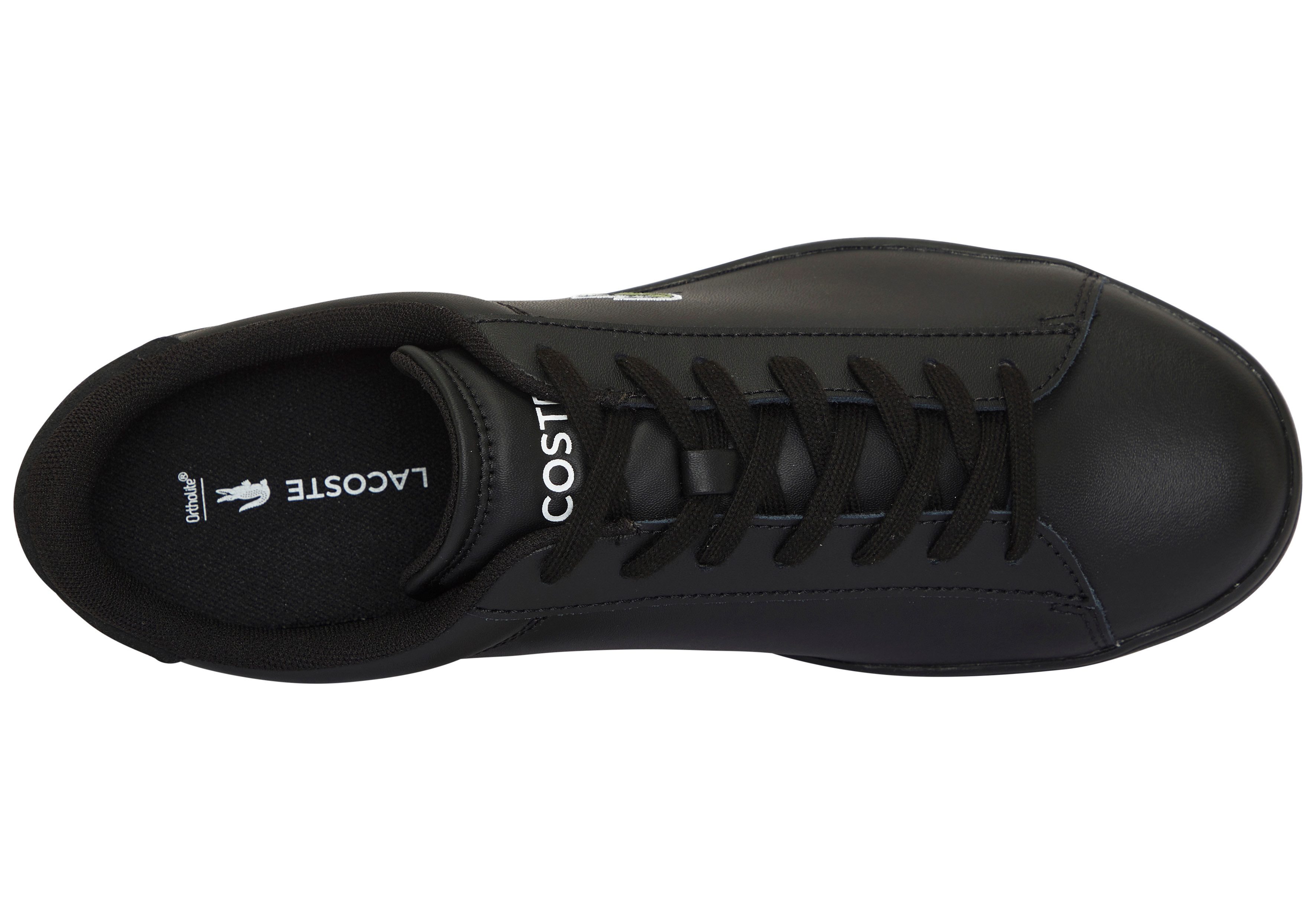 Lacoste LACOSTE CARNABY Sneaker