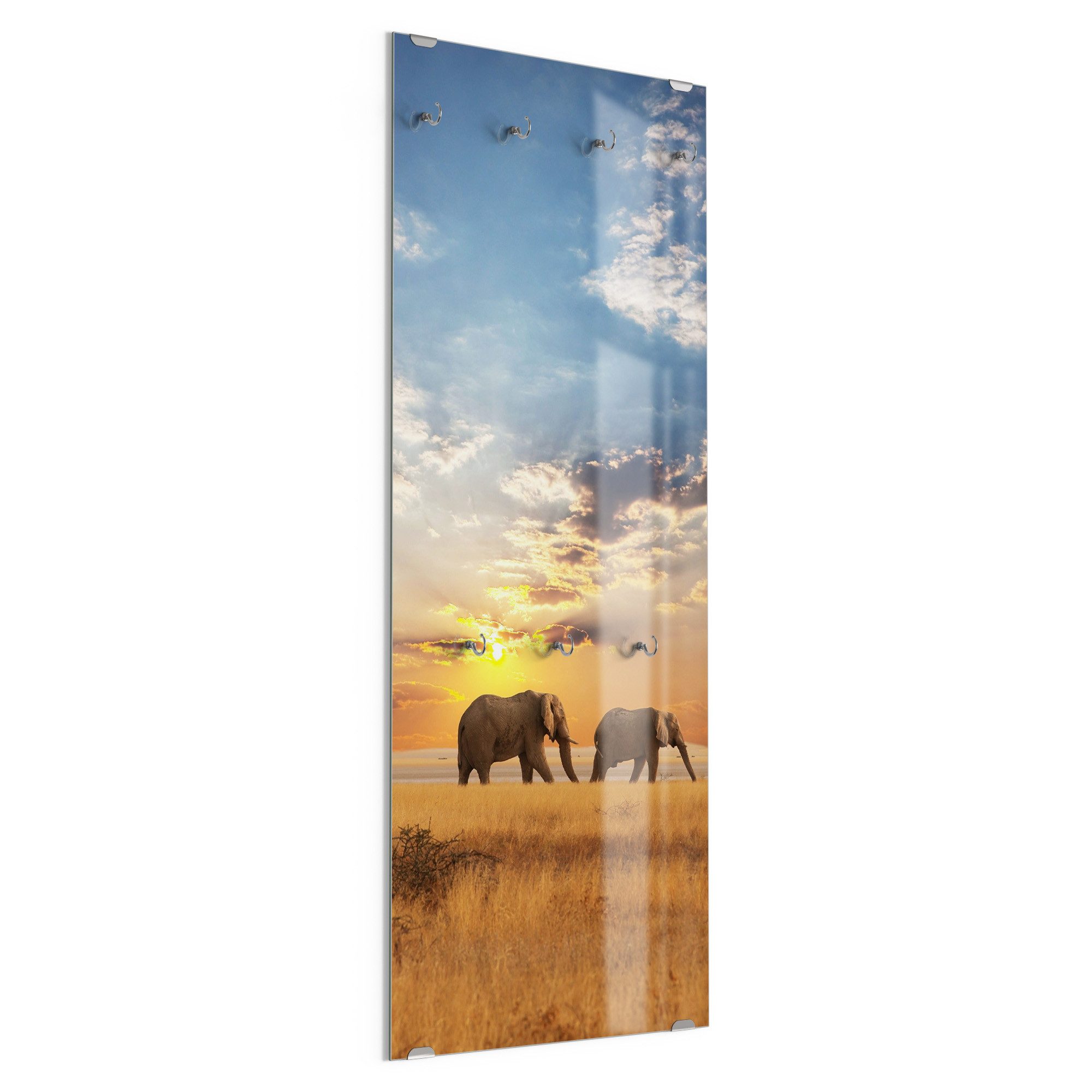 DEQORI Kleiderhaken 'Elefanten in der Steppe', Glas Garderobe hängend Flur Jackenhalter modern Wandgarderobe Haken