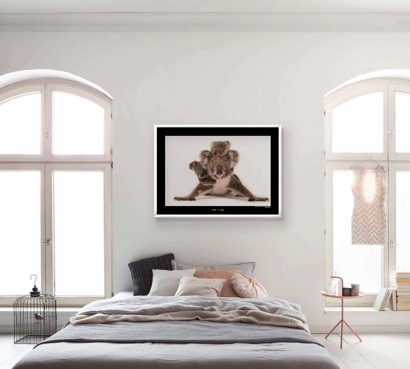 Komar Poster »Koala«, Tiere, Höhe: 40cm-HomeTrends