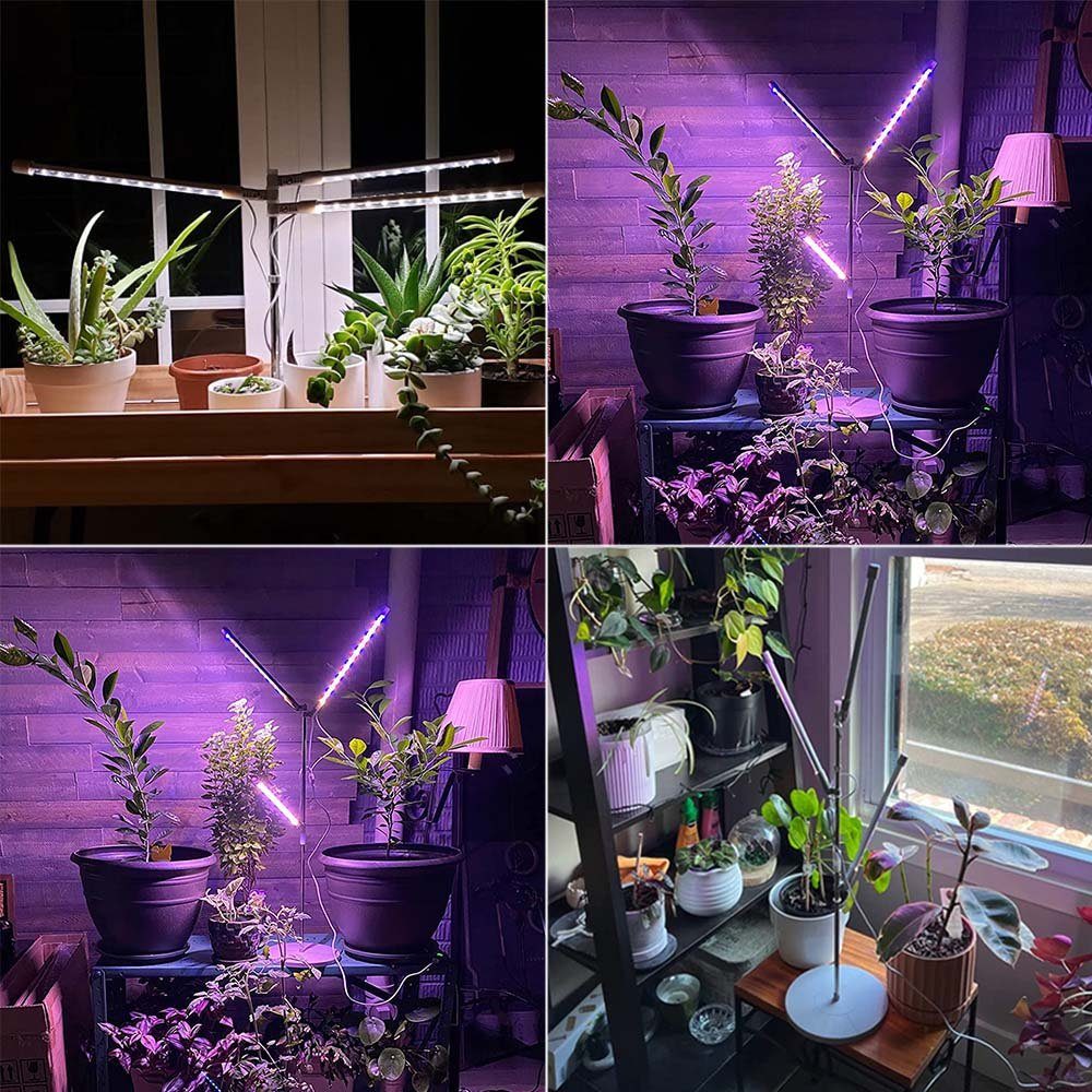 Pflanzenlampe Pflanzenleuchte, 3 LED Pflanzen Sukkulenten, Timer, Sockel für Setzlinge USB, Vollspektrum mit mit Sunicol Pflanzenlampe und Dimmbar Dimmbar Kopf
