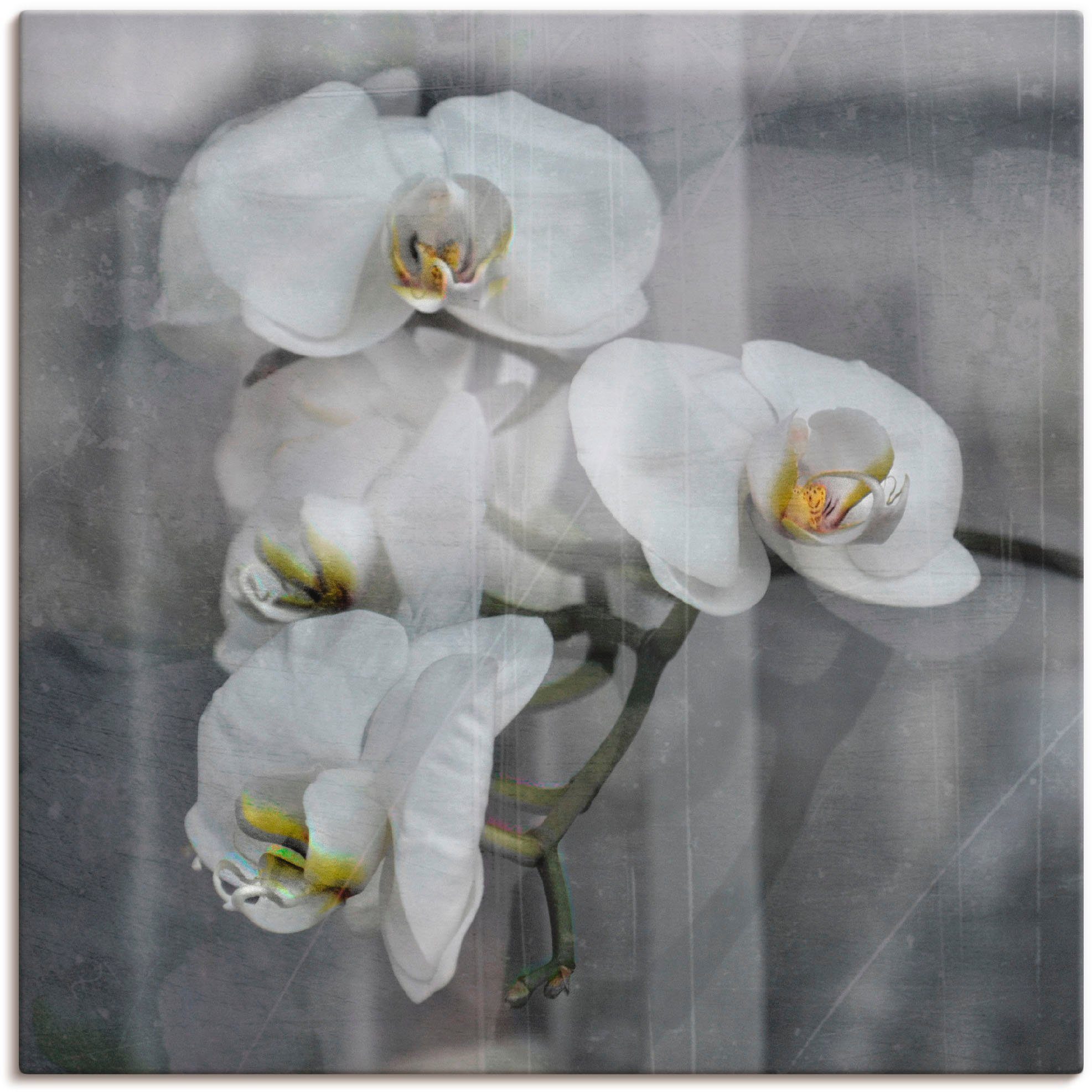 Artland Leinwandbild Weisse Orchideen - white Orchid, Blumen (1 St), auf Holzrahmen gespannt