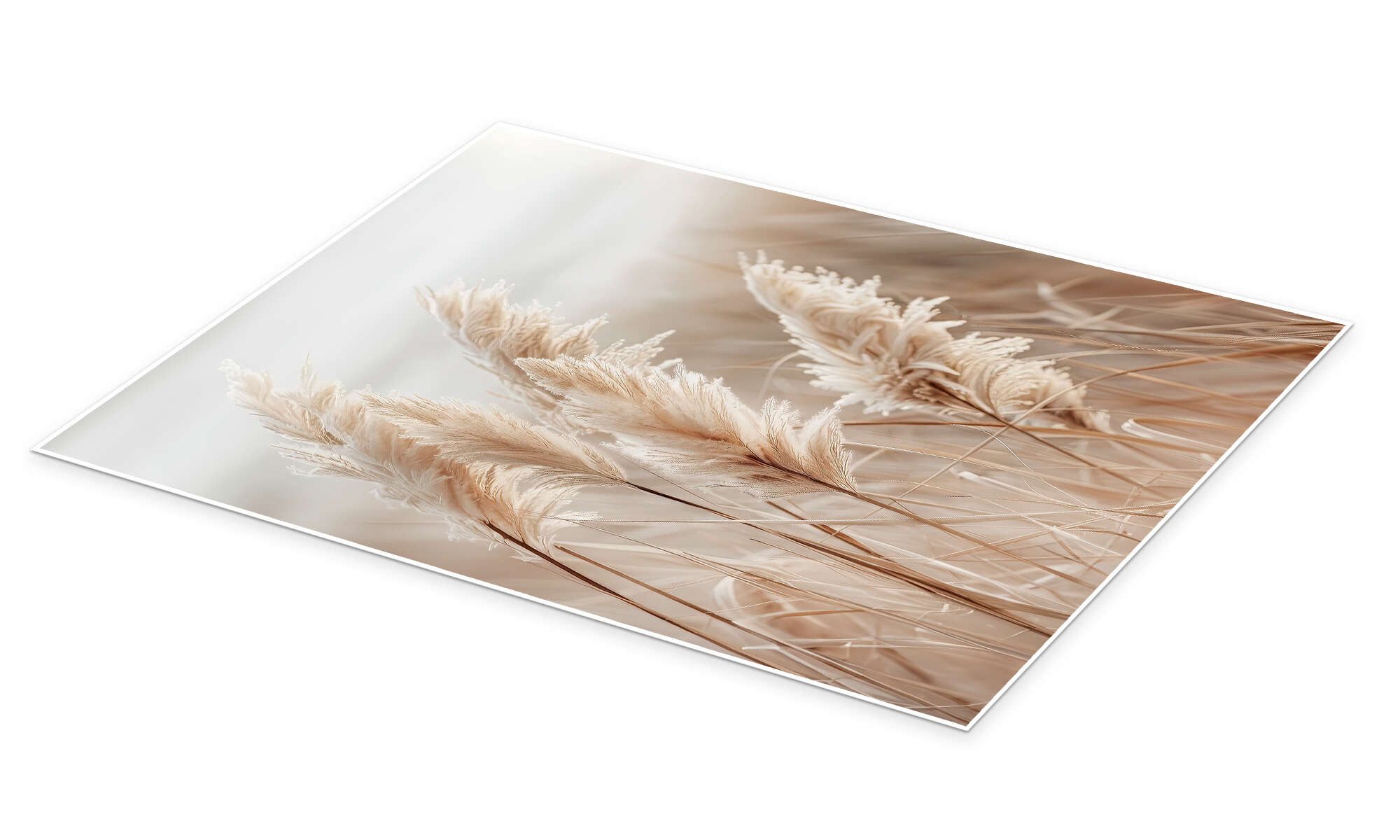 Posterlounge Wandbild Pampasgras am Meer, Melanie Viola, erhältlich als Pos günstig online kaufen