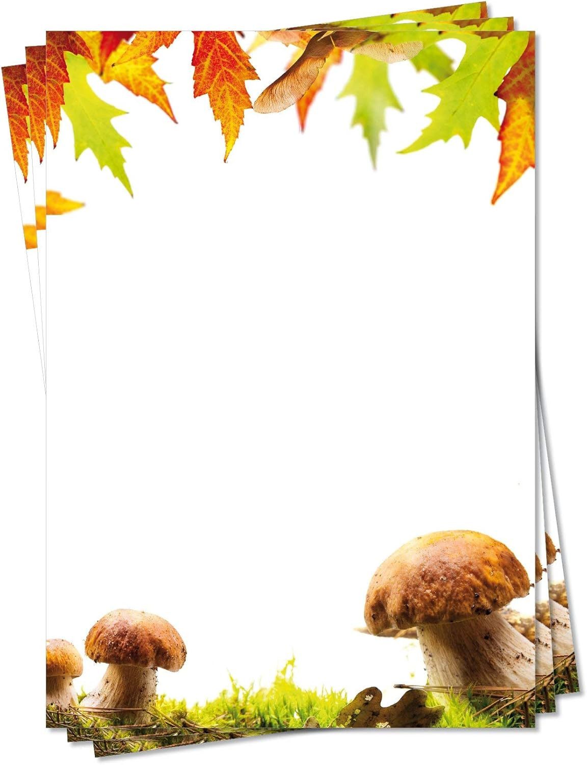 LYSCO Briefpapier Motivpapier Laubfall Blätter Blatt Herbst DIN A4 gut beschreibbar, herbstliches Flair, für alle Drucker geeigent.