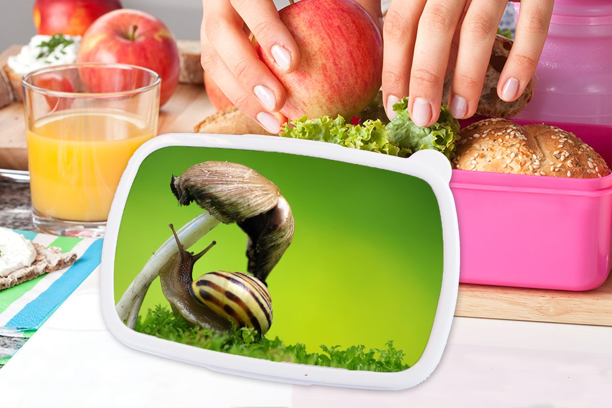 MuchoWow Lunchbox Schnecke klettert auf Snackbox, (2-tlg), Erwachsene, Mädchen, Kunststoff rosa Pilz, Brotbox Kunststoff, Brotdose Kinder, für