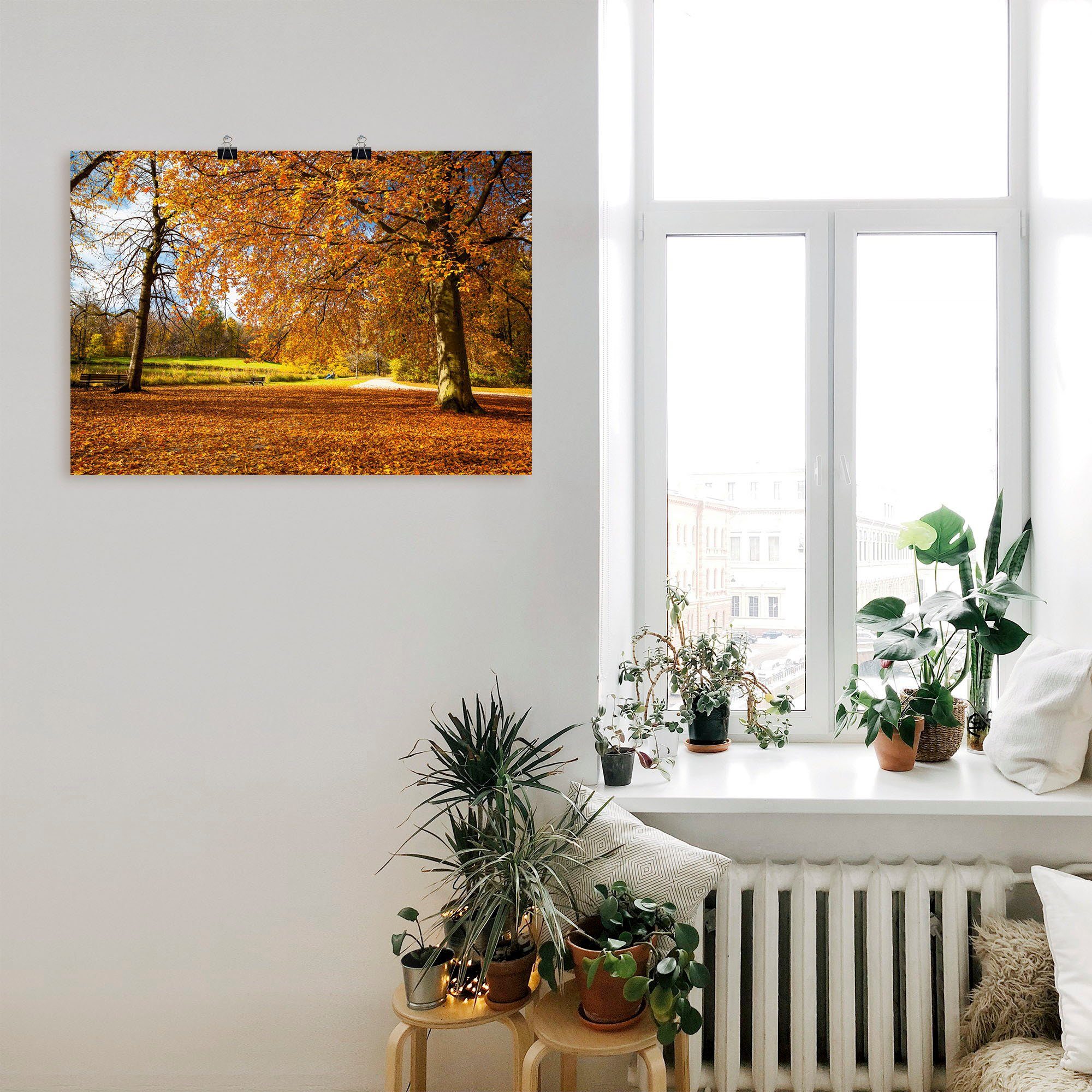 Artland in versch. St), oder Herbst bei Leinwandbild, Poster Wandbild Nymphenburg, als Schlosses Wandaufkleber (1 Bäume Alubild, Wiesen Größen &
