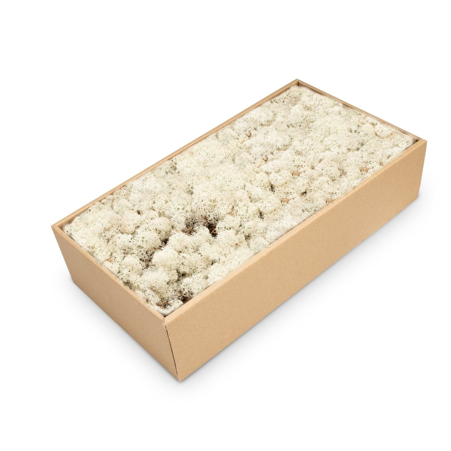 NaDeco Bastelnaturmaterial Islandmoos Natur, konserviert, verpackt im Karton mit ca. 500g