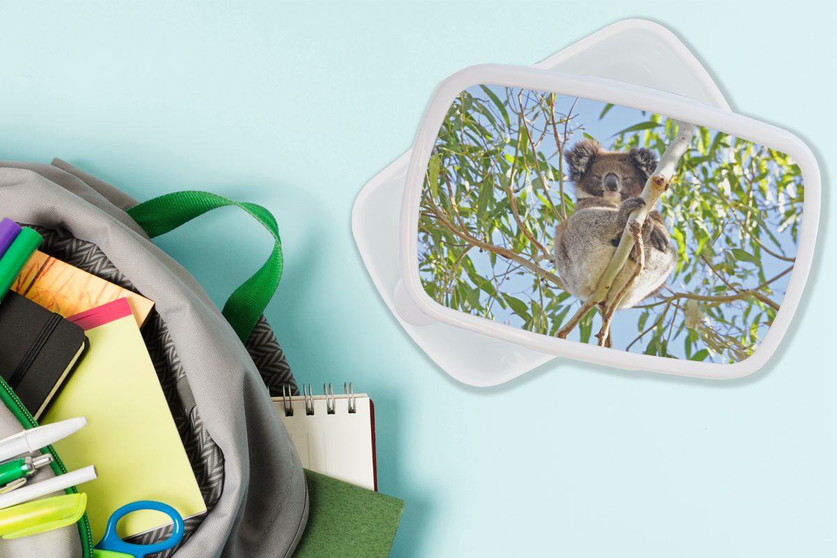 MuchoWow Lunchbox Koala Brotbox - Zweige Kinder für Mädchen, Mädchen für Brotdose, Kunststoff, Luft - - (2-tlg), Jungen und weiß Erwachsene, - Kinder Jungs und 