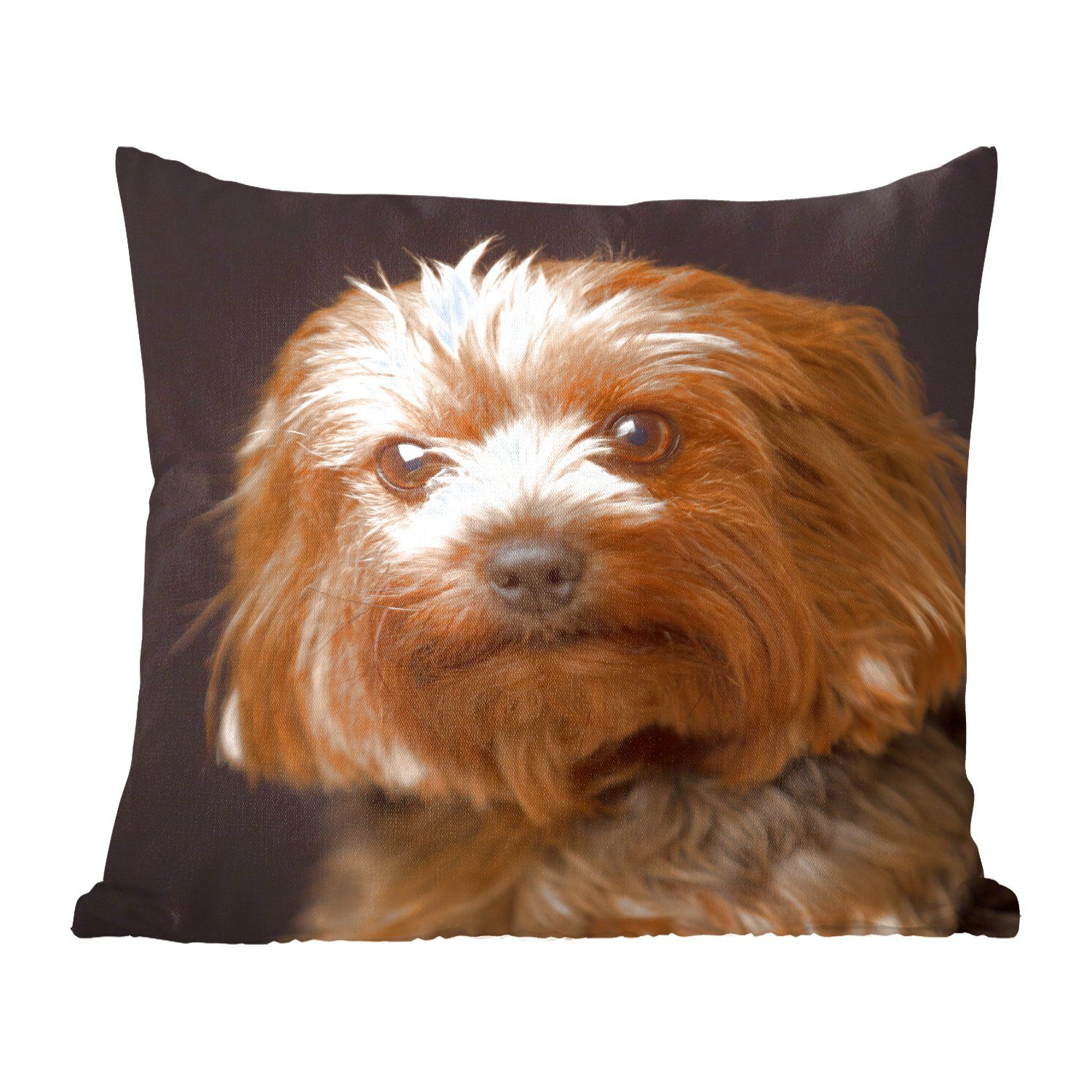 MuchoWow Dekokissen Porträt eines goldbraunen Yorkshire Terriers, Zierkissen mit Füllung für Wohzimmer, Schlafzimmer, Deko, Sofakissen