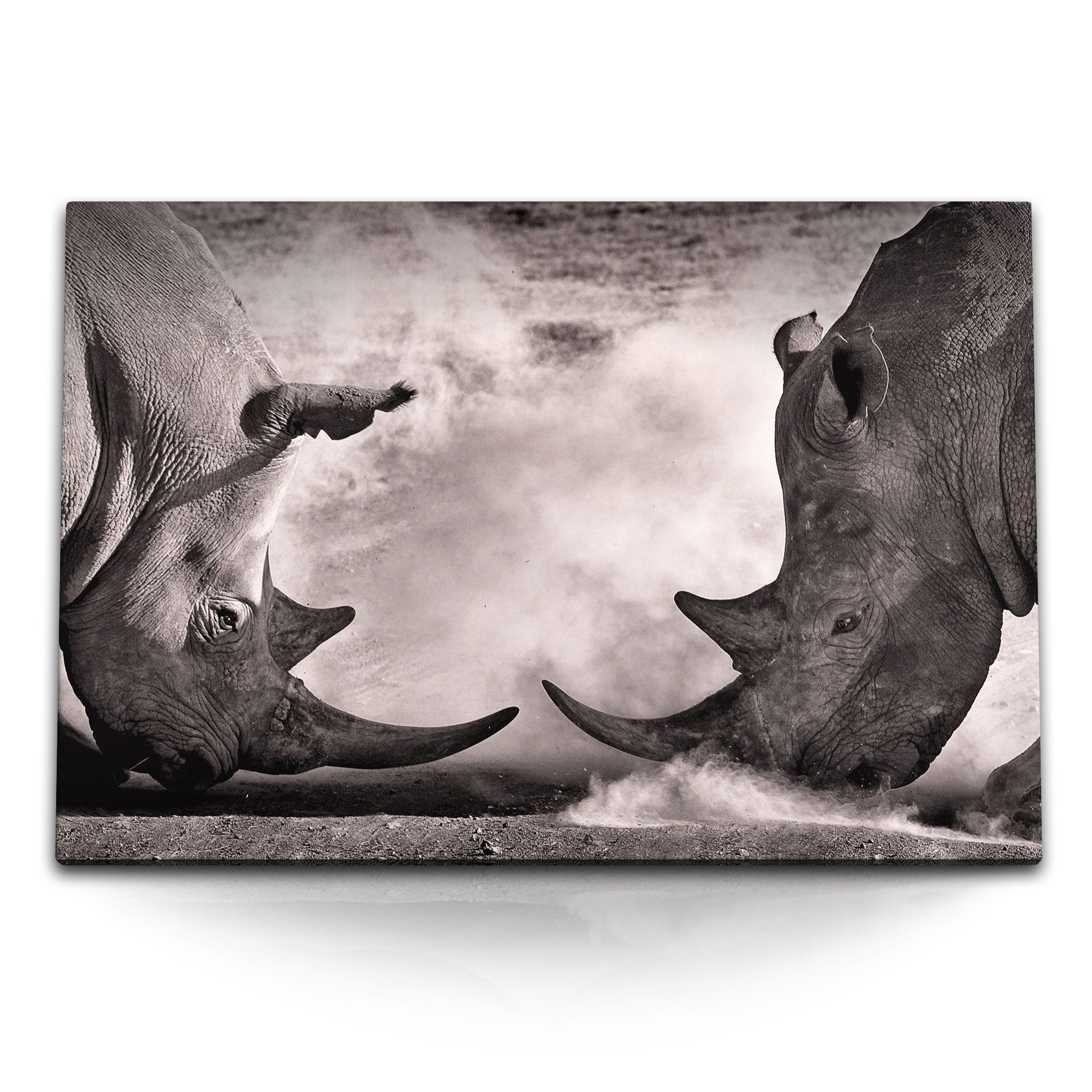 Leinwandbild 120x80cm Wandbild auf Leinwand Nashorn Bullenkampf Schwarz Weiß Afrika