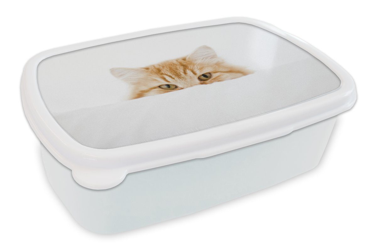 MuchoWow Lunchbox Katze - Rot - Weiß - Mädchen - Jungen - Kind, Kunststoff, (2-tlg), Brotbox für Kinder und Erwachsene, Brotdose, für Jungs und Mädchen
