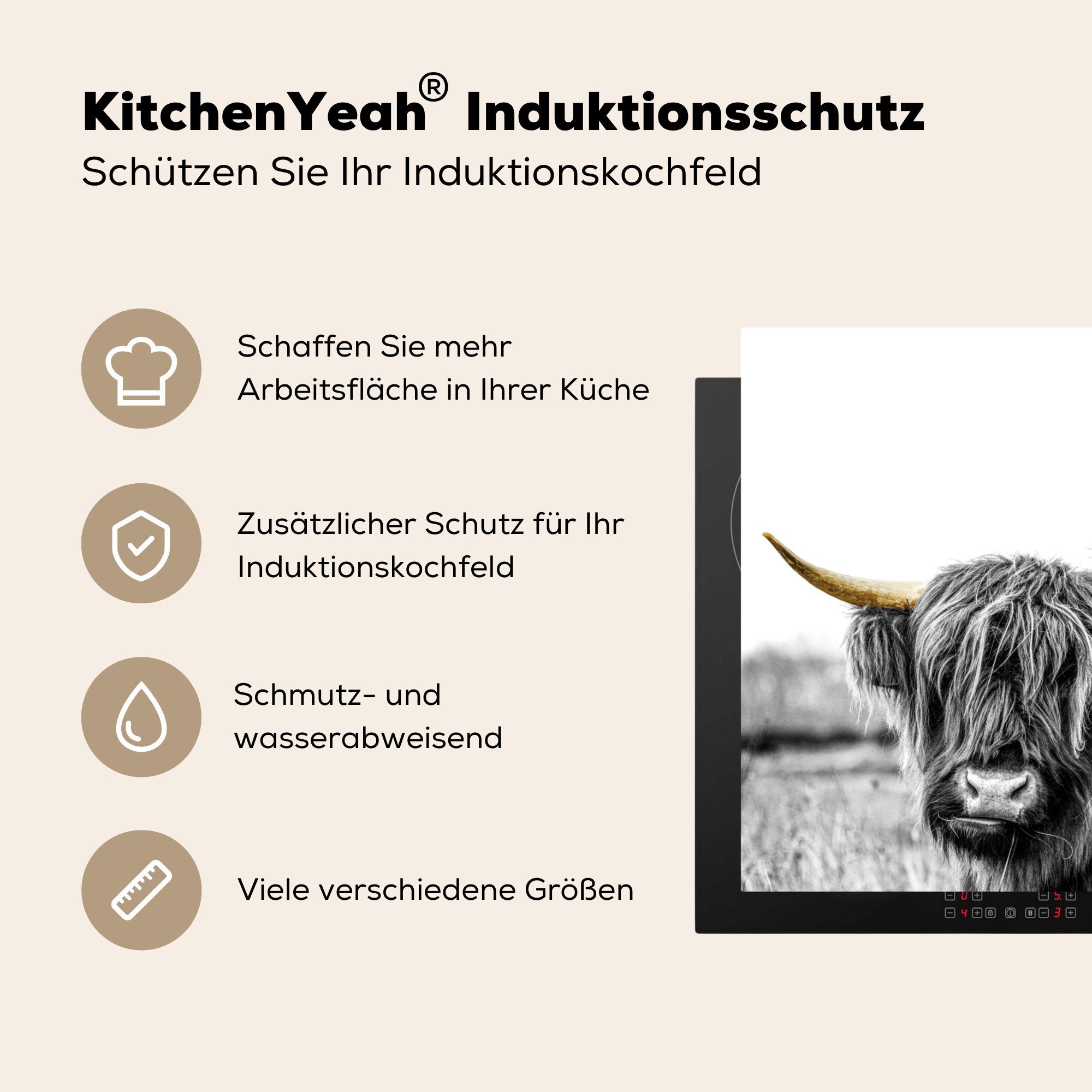 Herdblende-/Abdeckplatte tlg), - küche Natur Vinyl, 78x78 Schottische Highlander Hörner, Ceranfeldabdeckung, für MuchoWow (1 Arbeitsplatte cm, Goldene -