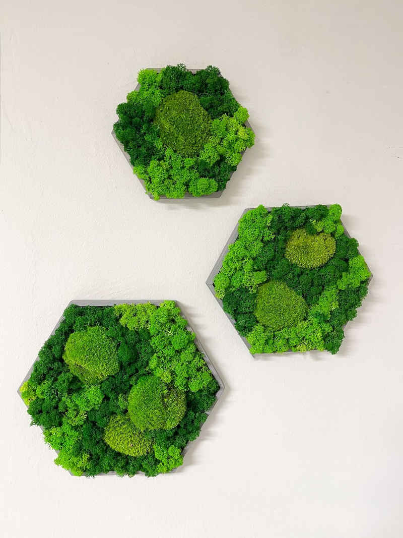 Gedankenwunder Manufaktur Wandbild Moosbild Kombi Islandmoos & Ballenmoos Hexagon Holz Rahmen