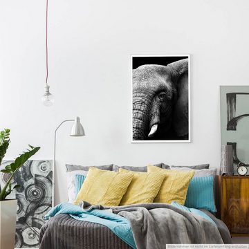 Sinus Art Poster 60x90cm Tierfotografie Poster Großer Elefantenkopf schwarz weiß