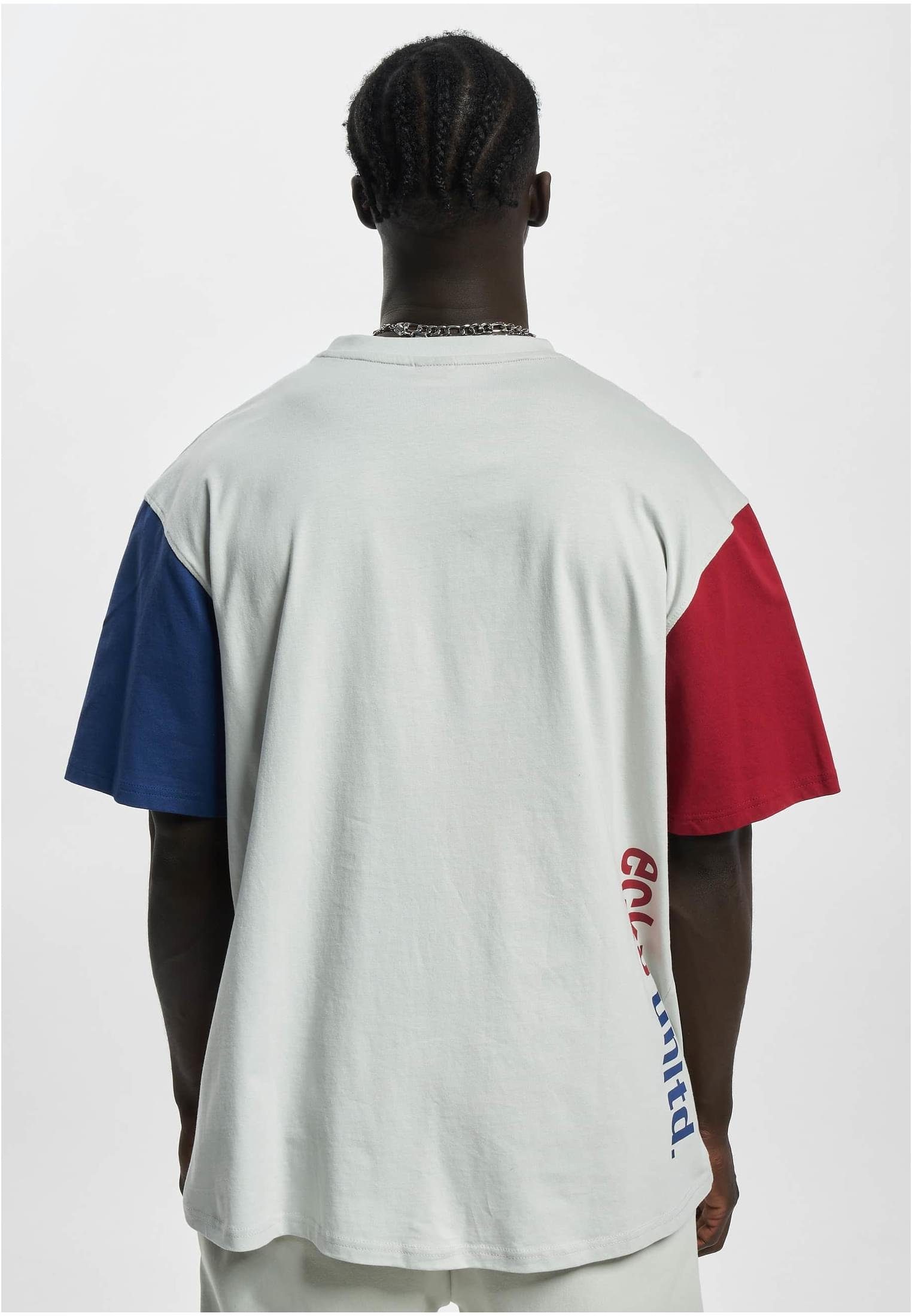 Ecko Unltd. T-Shirt Herren Ecko Unltd. Grande T-Shirt (1-tlg) grey/red/blue