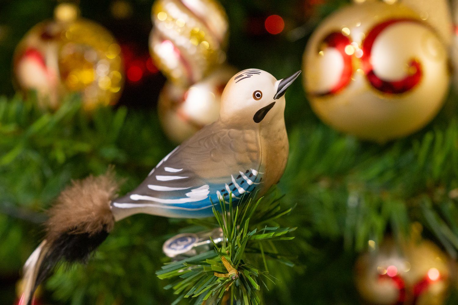 Birds of Glass Christbaumschmuck Glasvogel eigener mundgeblasen, Eichelhäher handdekoriert, aus Herstellung Naturfeder, mit