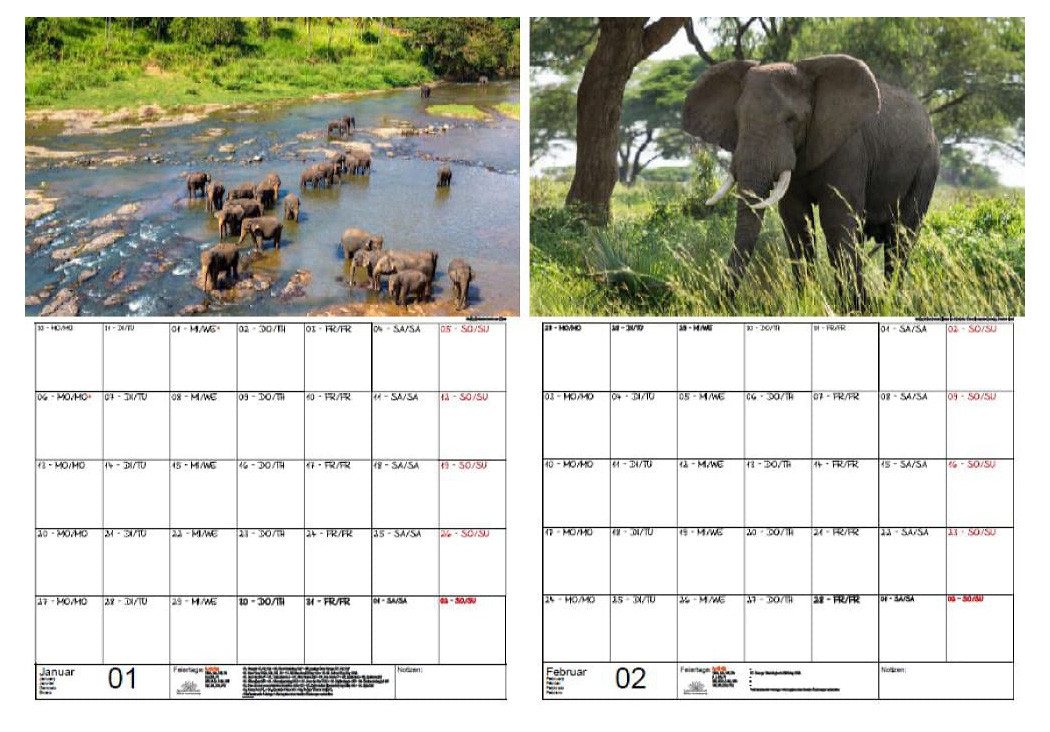 Thumbnail - Seelenzauber Wandkalender Elefantenzauber Wand- Planer Kalender für 2025 DIN A3 Elefanten