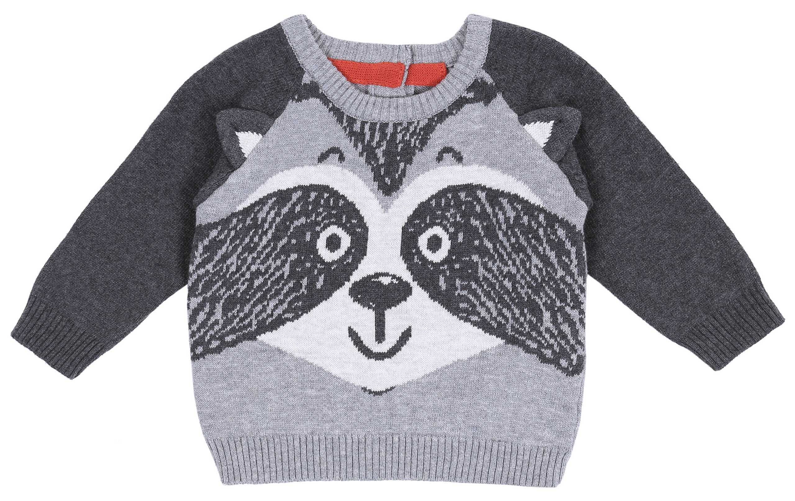 Sarcia.eu Longpullover Grauer Pullover - Waschbär 3-6 Monate