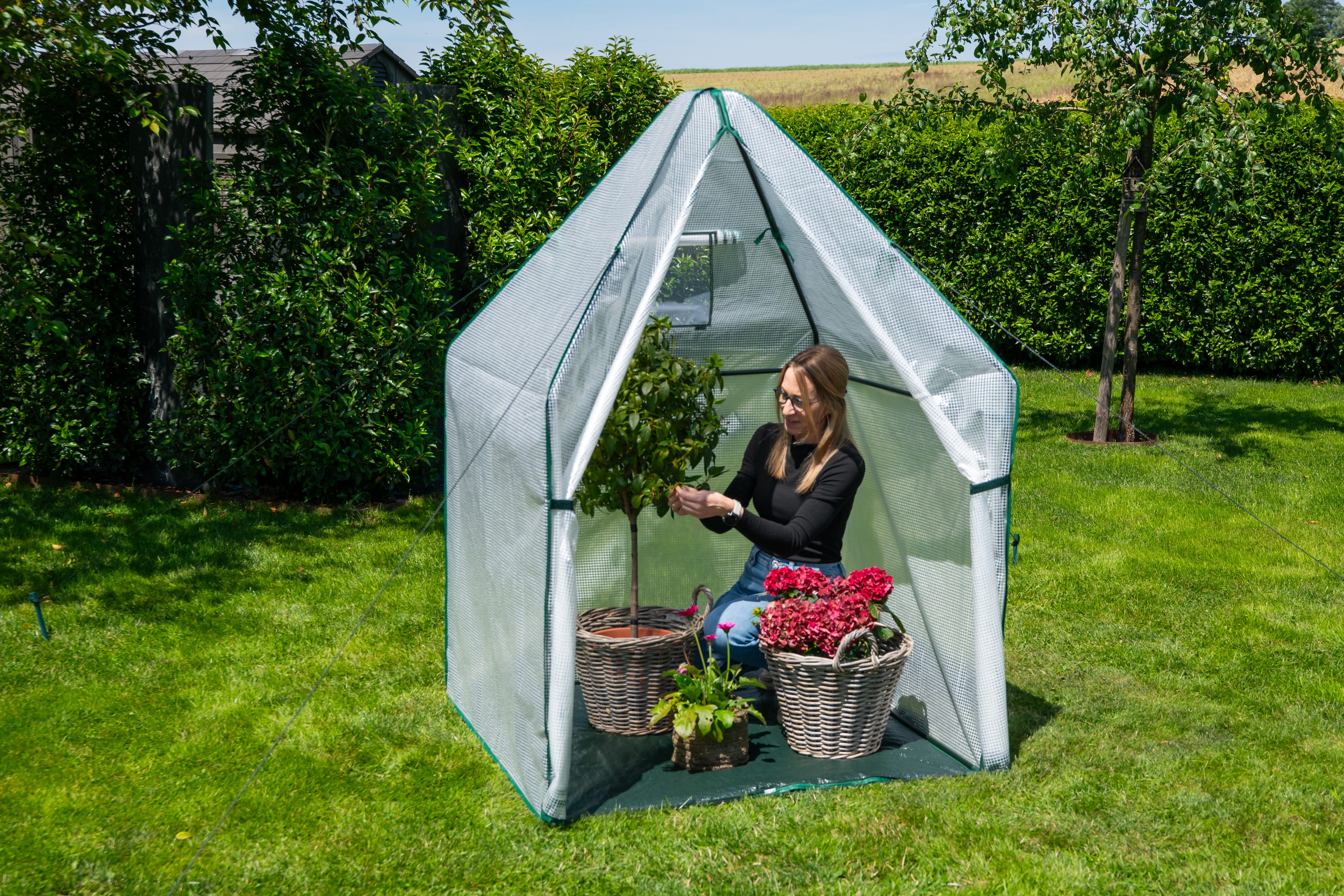 WESTMANN Foliengewächshaus Chili, BxTxH: 120 x 120 x 180 cm, Überwinterungs günstig online kaufen