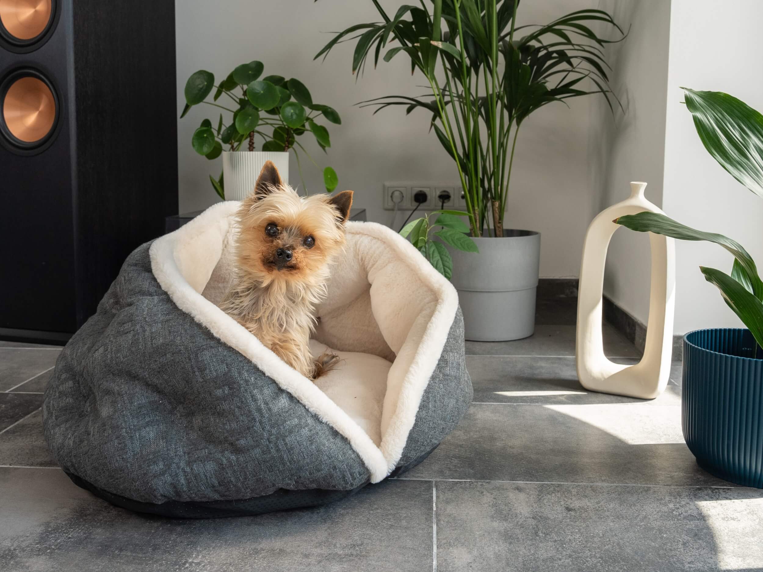 TrendPet Tierbett LunaNest, 100% Polyester, dick gepolstert