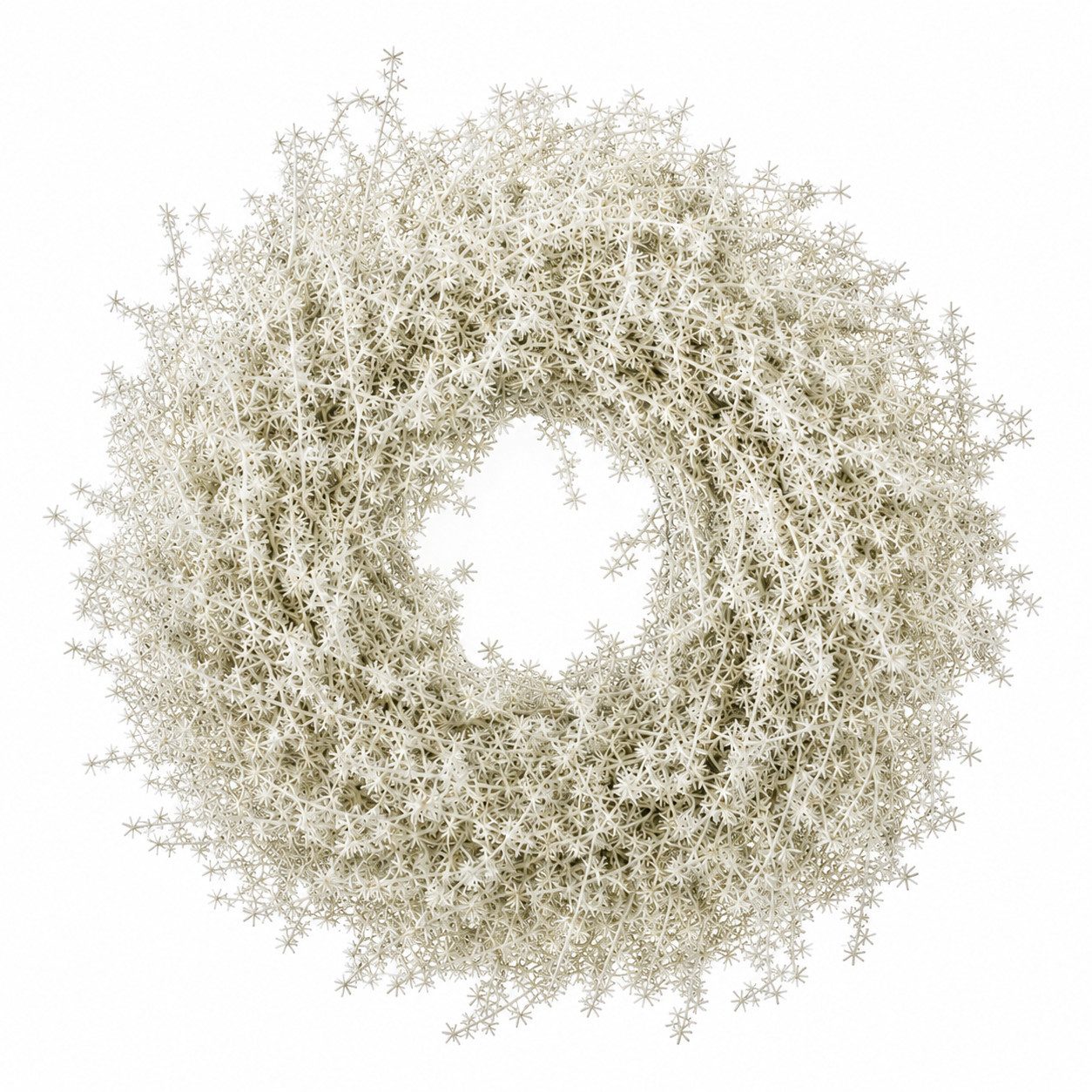 finehomegarden Dekokranz Asparagus Kranz Ø35cm Weiss Herbstkranz Türkranz Herbst Deko, Naturmaterial Türkranz, Wandkranz & Tischdeko – Herbstliche Dekoration