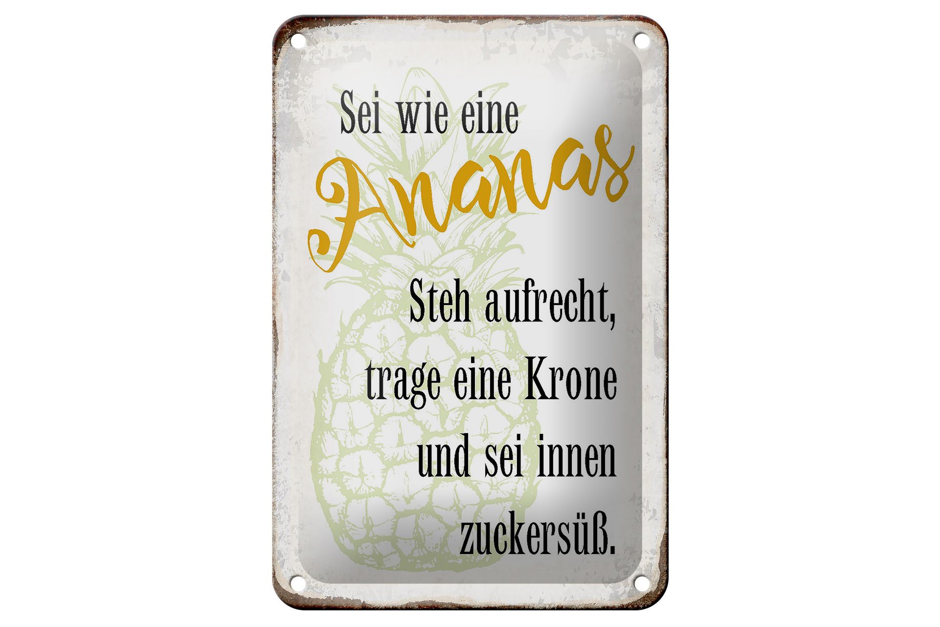 Metallschild Spruch 12x18cm sei Ananas aufrecht zuckersüß