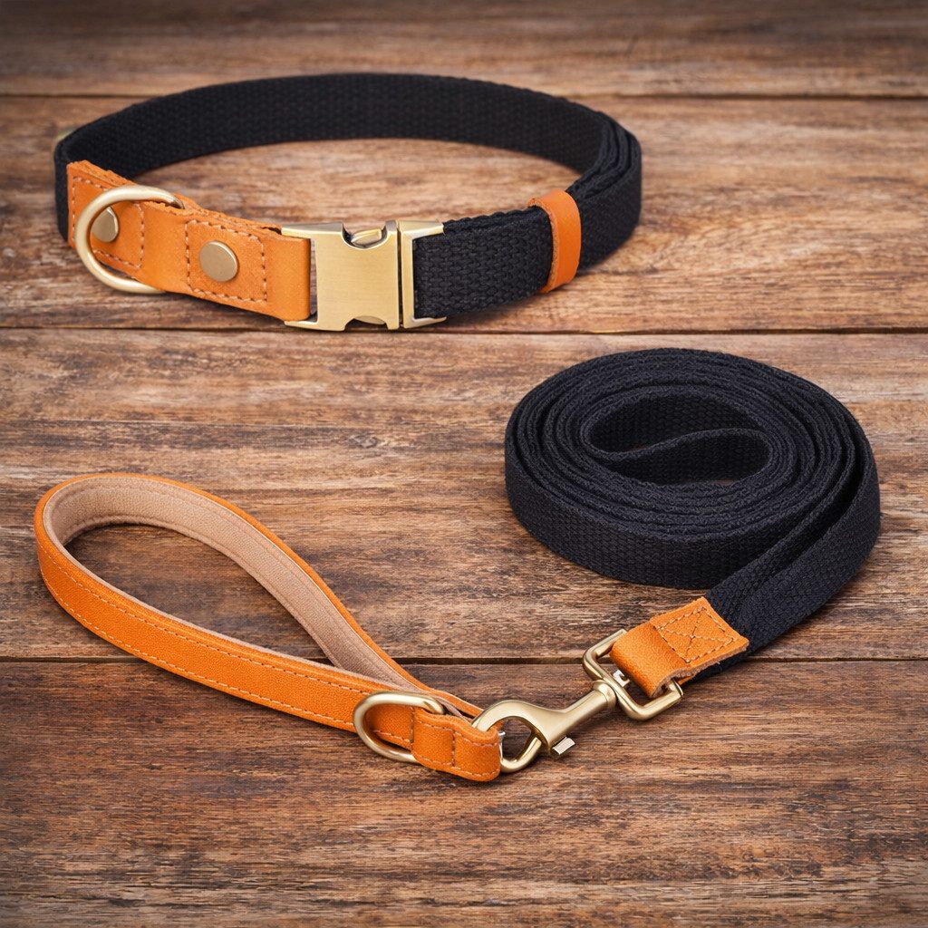 Illes-Laedchen Hunde-Halsband Set Hundehalsband und Hundeleine Leine und Halsband Nylon Leder, hochwertigste Qualität - erhältlich in vielen Größen und Farben