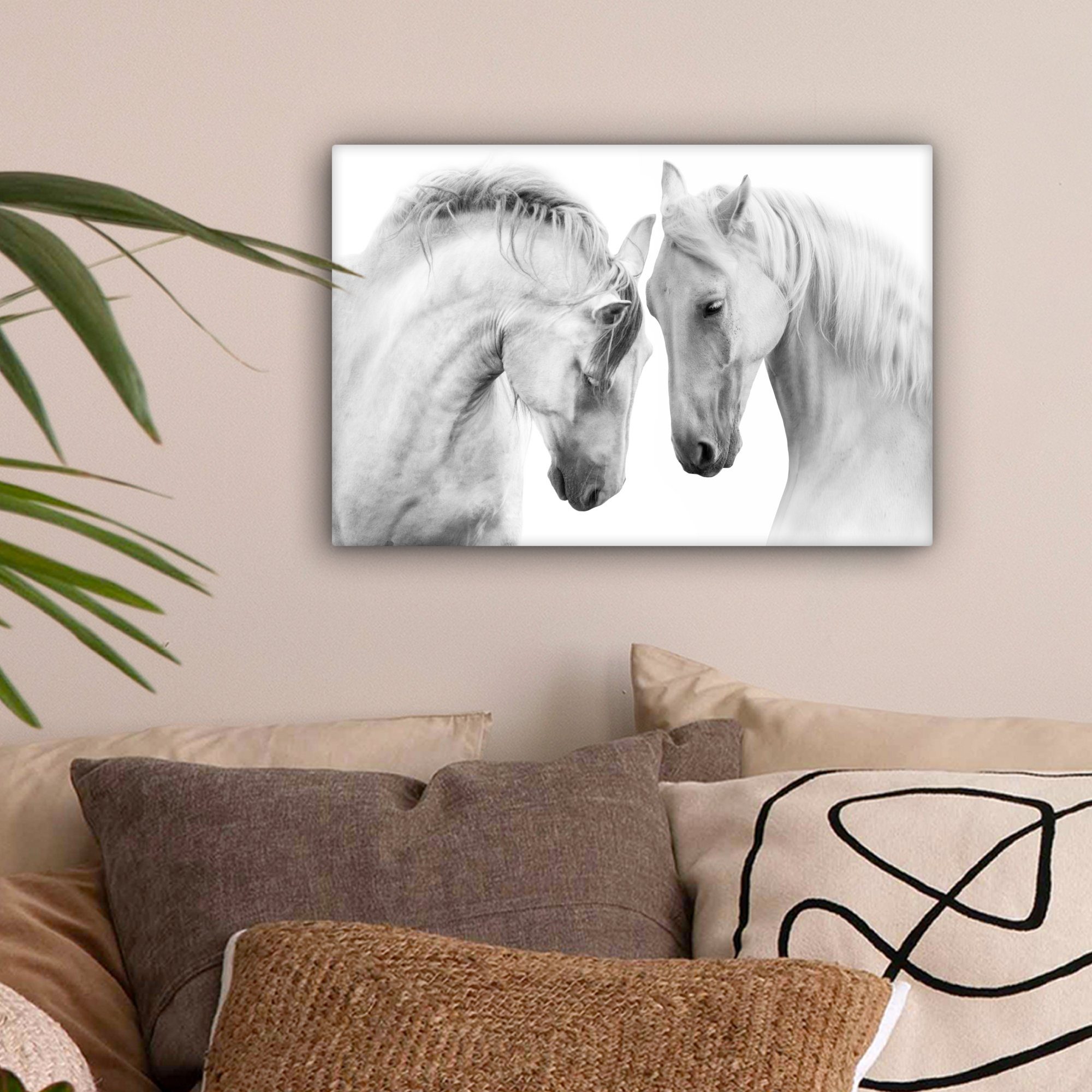 OneMillionCanvasses® Leinwandbild Pferd - Tiere - Porträt - Weiß, Fotodruck günstig online kaufen
