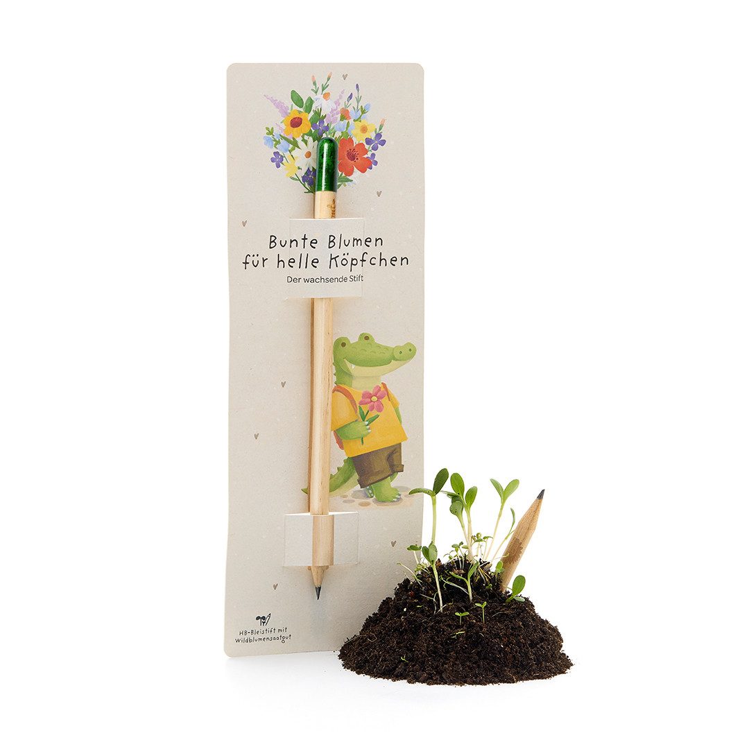 Die Stadtgärtner Bleistift Mit Wildblumen-Samenkapsel zum Schreiben & Einpflanzen, inkl. Samenkapsel, vorgeschärft, leicht