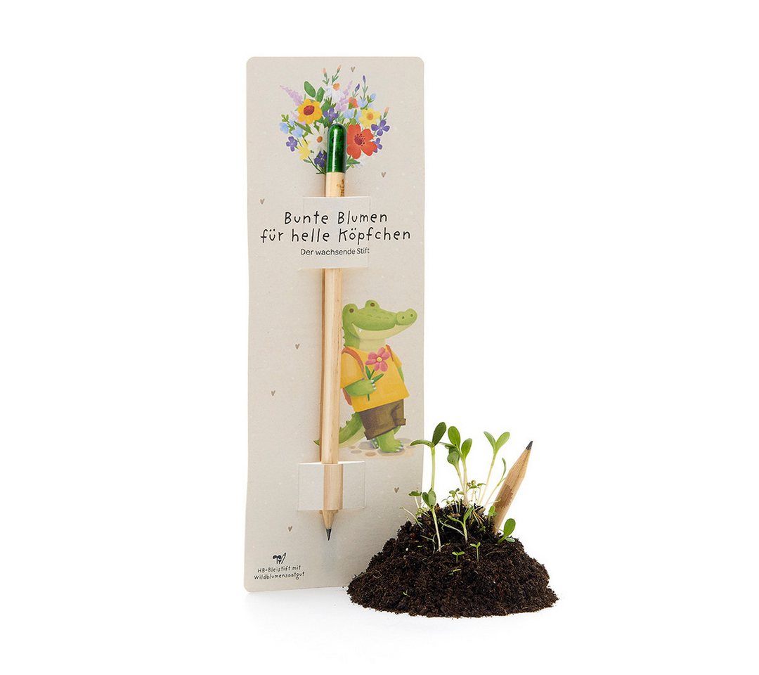 Die Stadtgärtner Bleistift Mit Wildblumen-Samenkapsel zum Schreiben & Einpflanzen, inkl. Samenkapsel, vorgeschärft, leicht