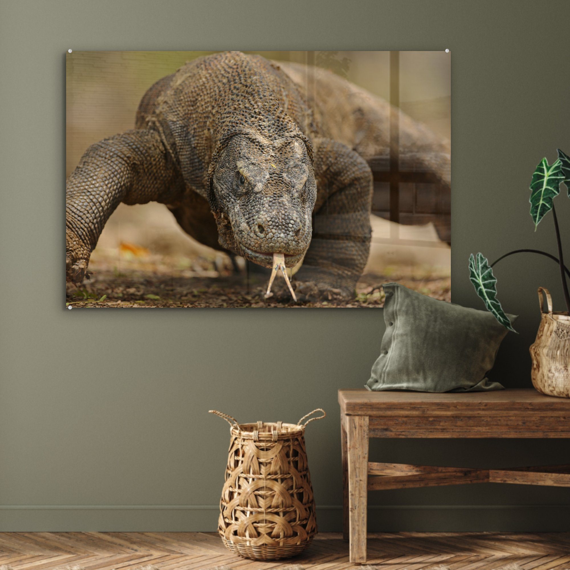 Nahaufnahme Komodowarans, Acrylglasbilder St), MuchoWow Acrylglasbild Schlafzimmer Wohnzimmer & (1 eines