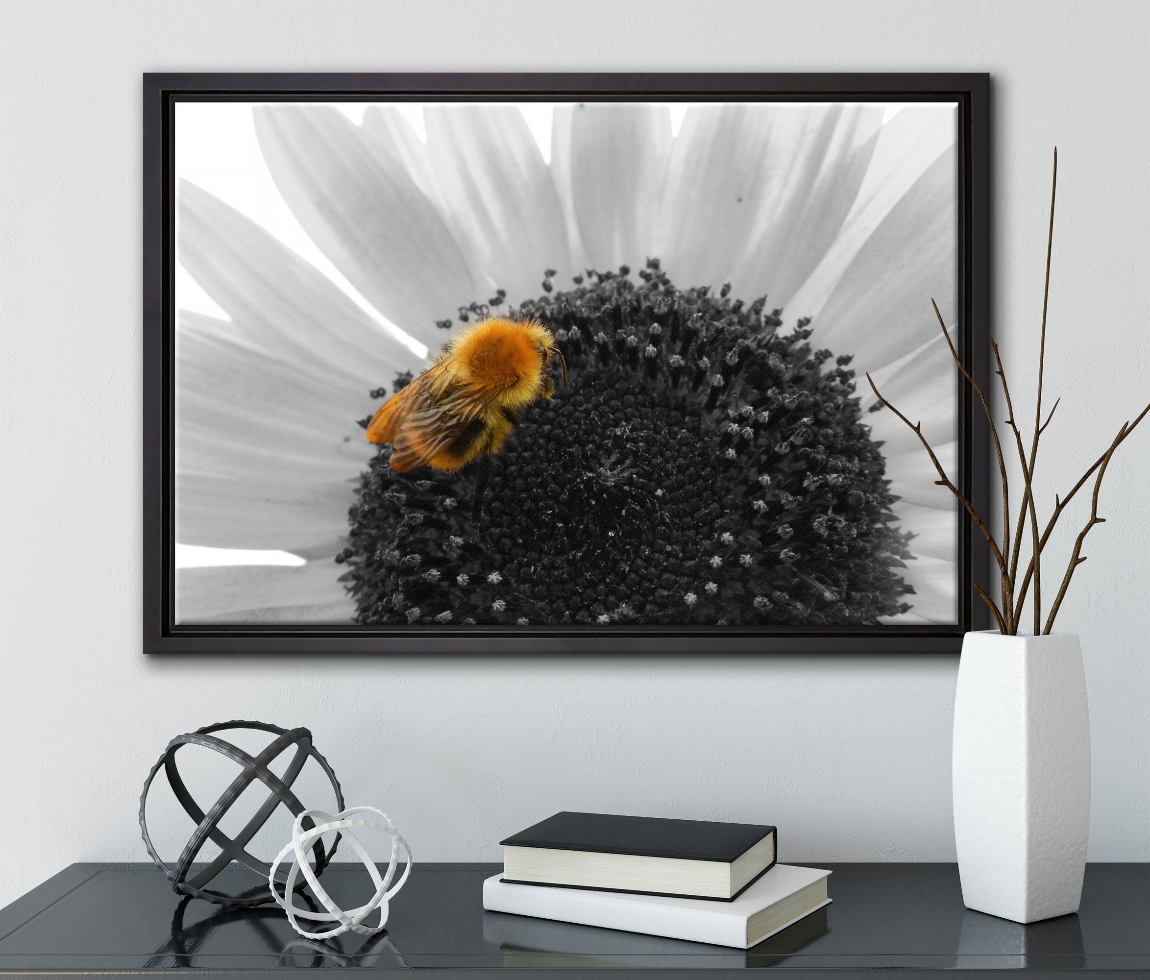 (1 Wanddekoration St), gefasst, großer Sonnenblume, auf Zackenaufhänger Leinwandbild in einem Leinwandbild Biene fertig bespannt, süße Pixxprint inkl. Schattenfugen-Bilderrahmen