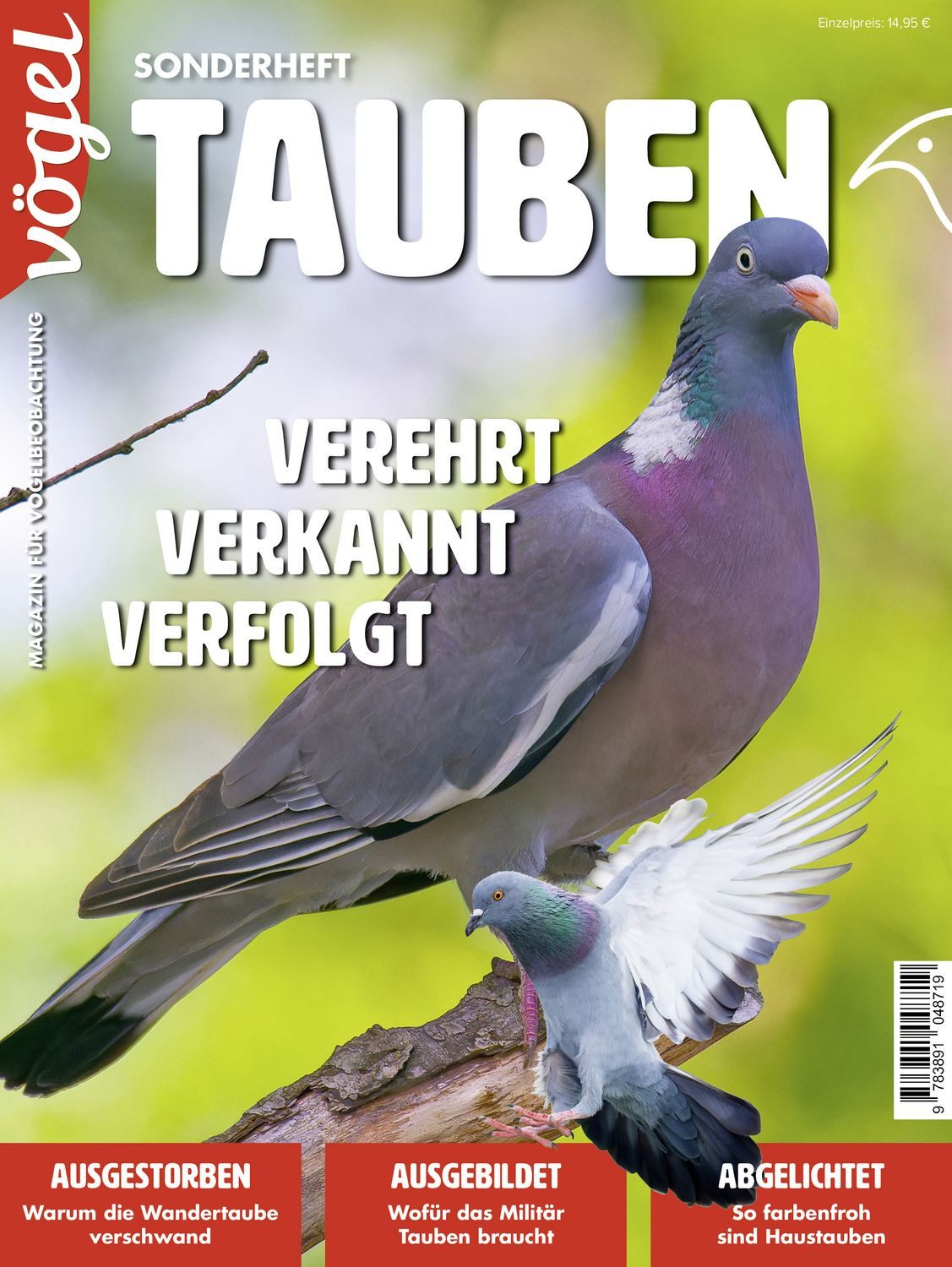 DIY-Buch Tauben diverse