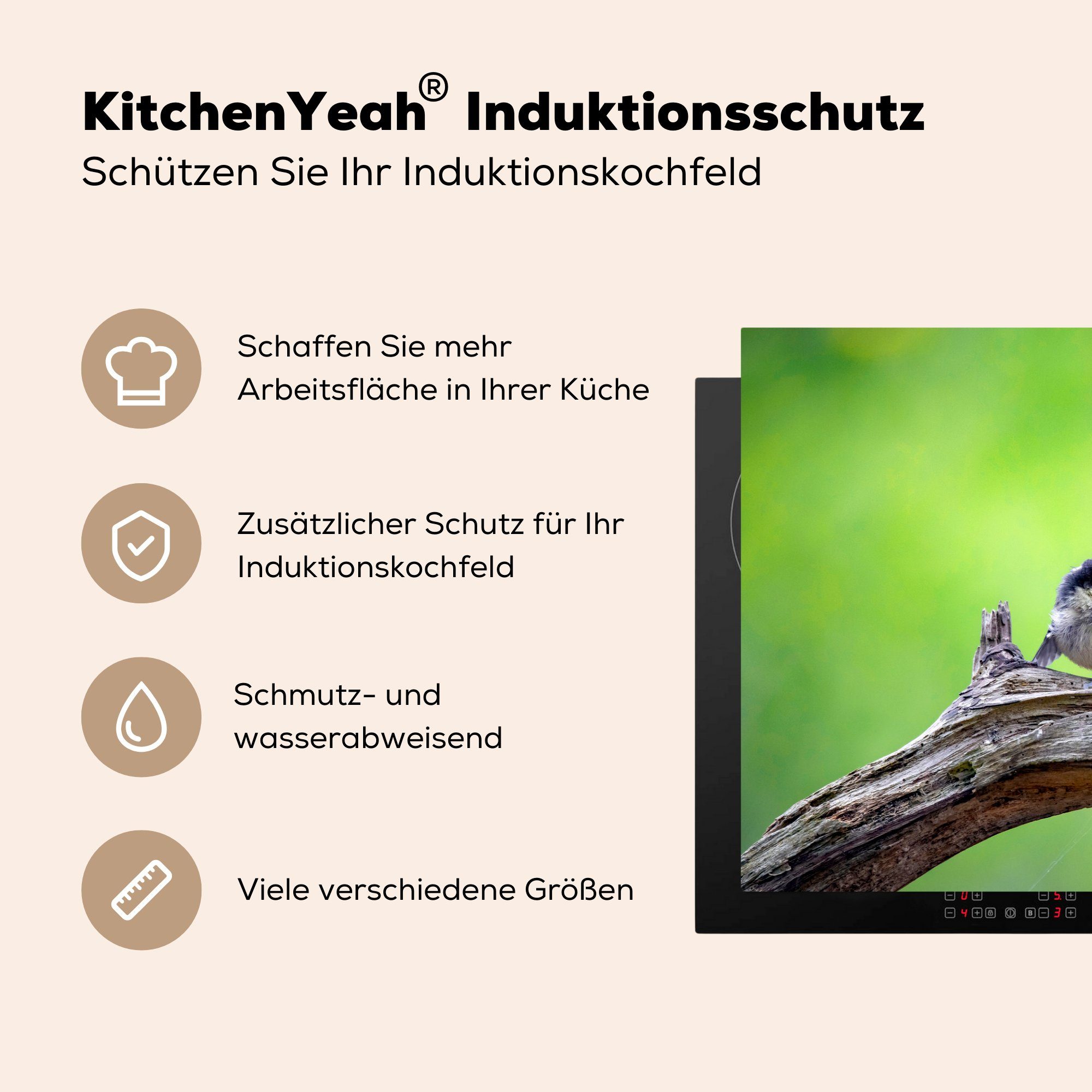 (1 Induktionskochfeld cm, Herdblende-/Abdeckplatte Baumstamm, küche, die Vinyl, - tlg), Schutz Ceranfeldabdeckung - für 81x52 Rotkehlchen Vogel MuchoWow