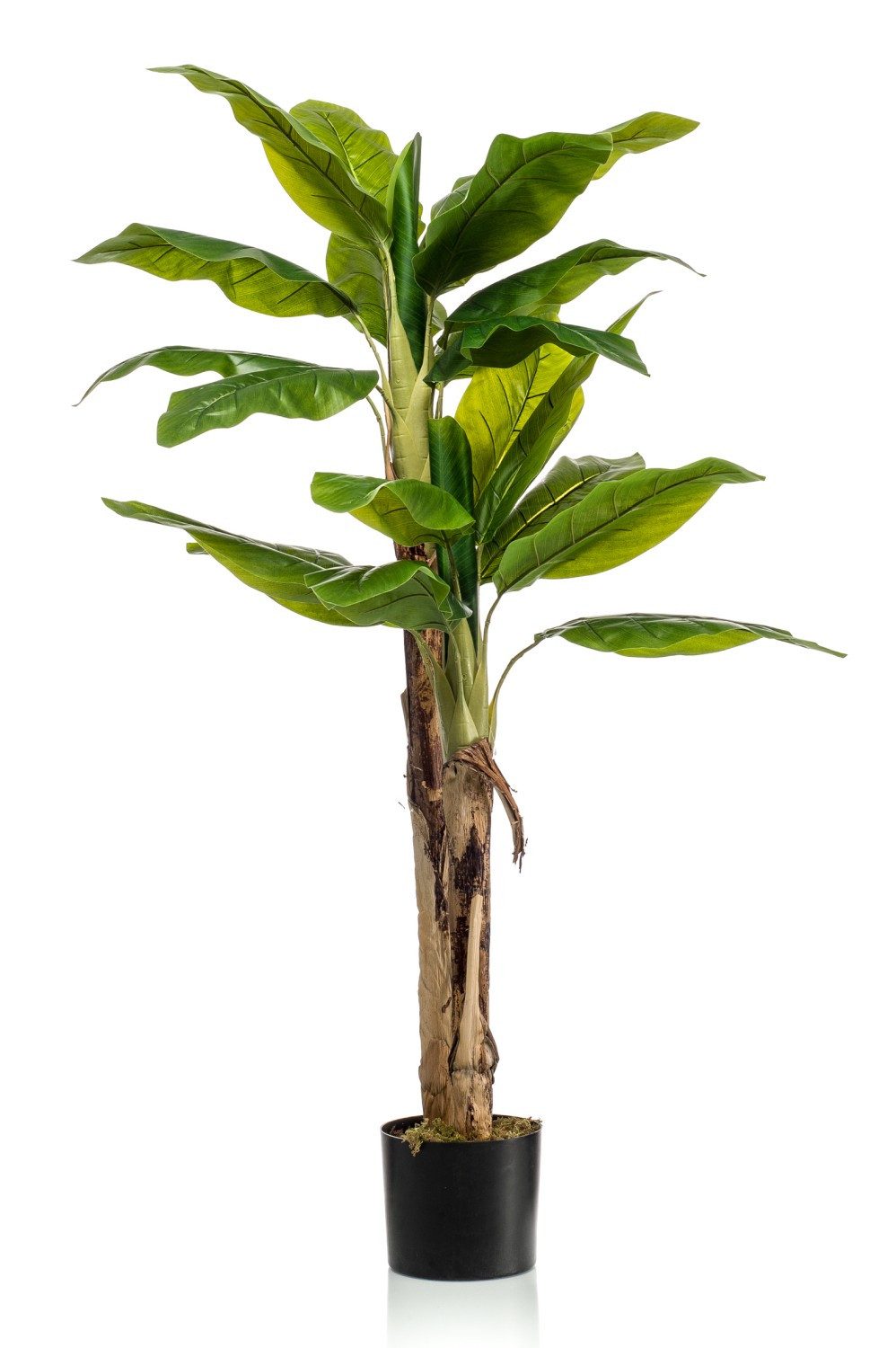 Kunstpalme Bananenbaum künstlich Duo ENTRIN, 140cm Banane, artplants, Höhe 140.0 cm