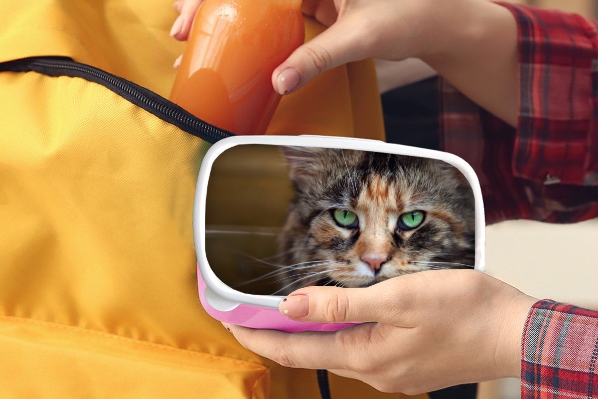 Erwachsene, für Katze mit MuchoWow Maine Lunchbox Coon rosa Brotbox Kunststoff Kunststoff, Mädchen, grünen (2-tlg), Augen, Kinder, Brotdose Snackbox,