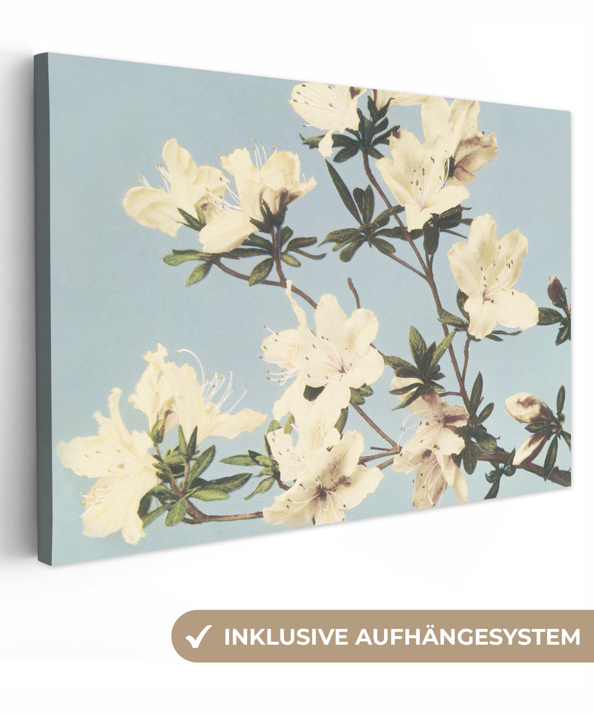 OneMillionCanvasses® Gemälde Vintage - Blumen - Weiß - Natur, (1 St), Wandbild Leinwandbilder, Aufhängefertig, Wanddeko, 30x20 cm