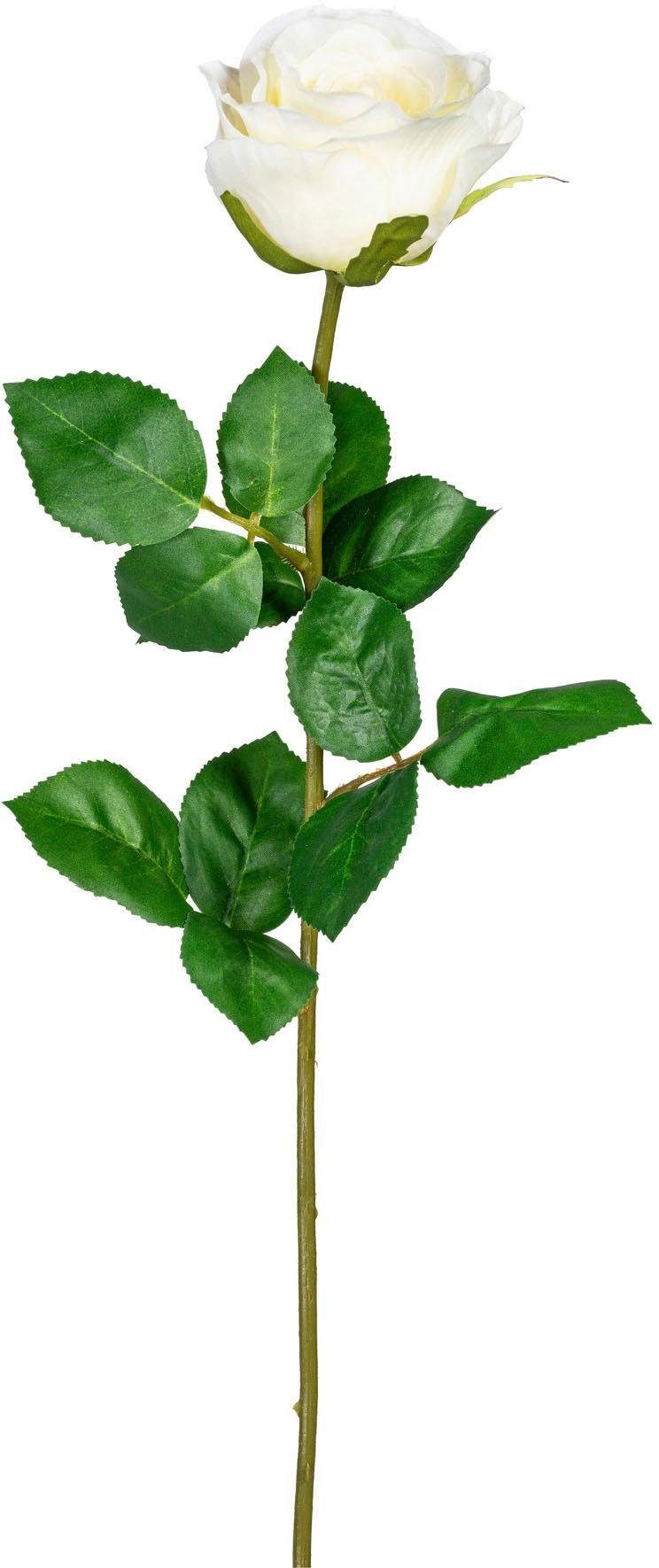 Kunstblume, Creativ green, Höhe 69 cm günstig online kaufen