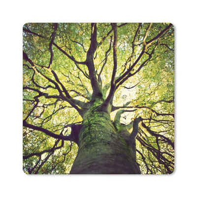 MuchoWow Gaming Mauspad Beruhigende Zweige eines grünen Baumes (1-St), Gaming, Rutschfester Unterseite, Mausunterlage, 80x80 cm, XXL, Großes