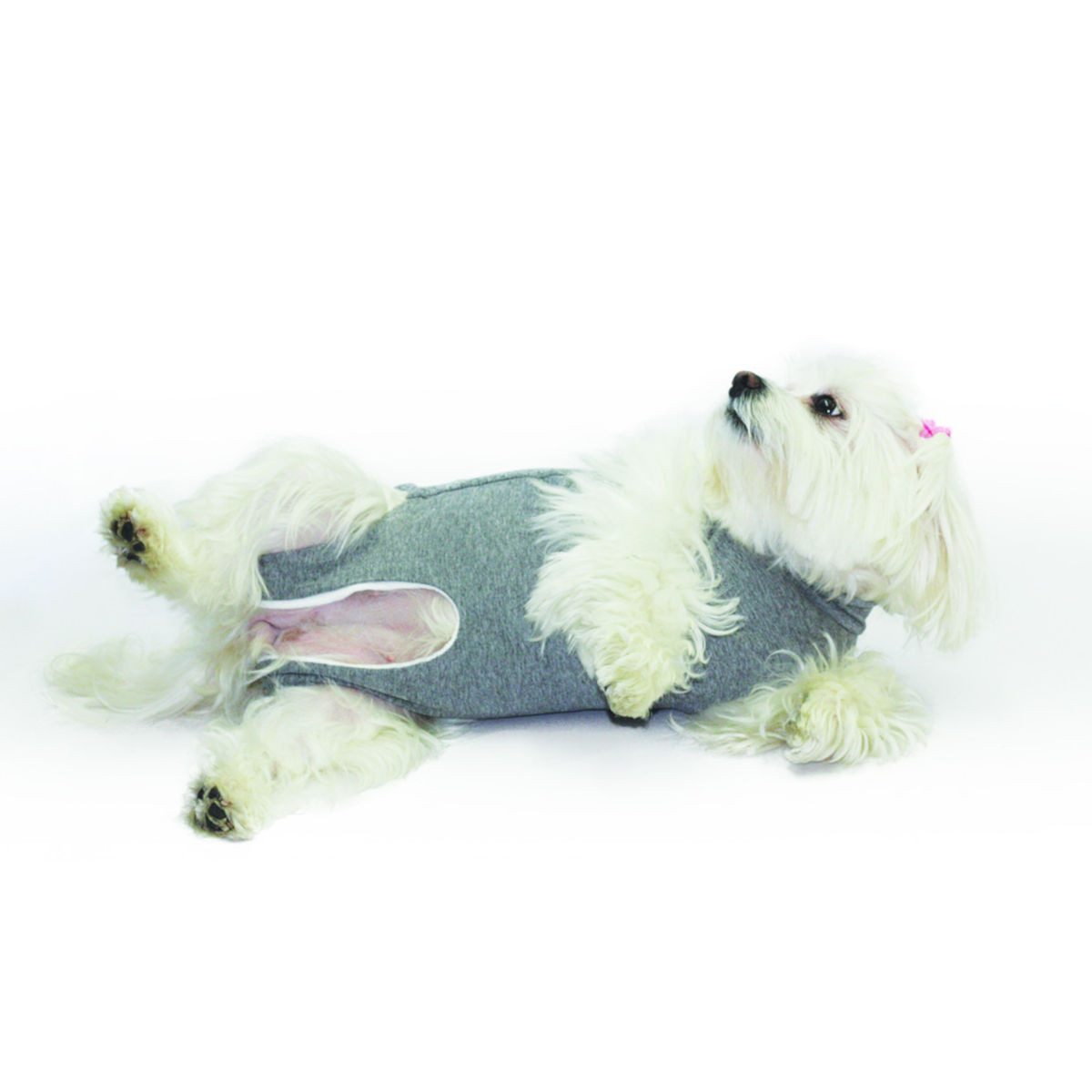 OP-Body Cura Pets OP- und Wundschutz-Body für Hunde und Katzen