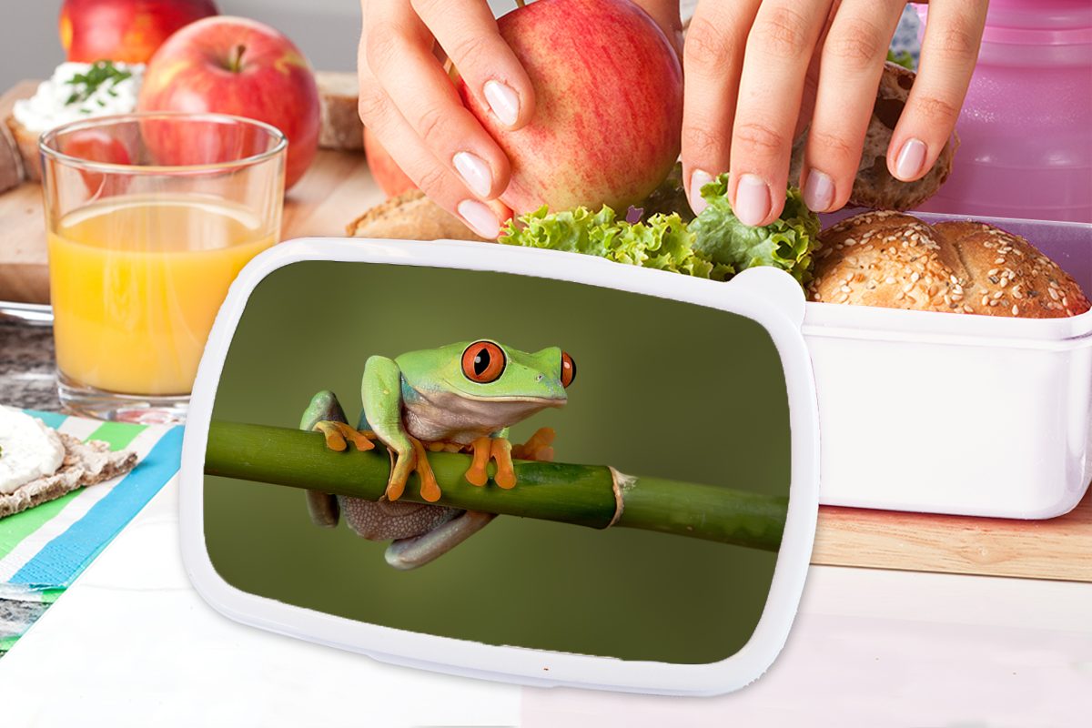 MuchoWow Lunchbox Frosch - Zweig, - Erwachsene, weiß (2-tlg), Mädchen Brotdose, Jungs Brotbox Kinder Kunststoff, für Grün und für und