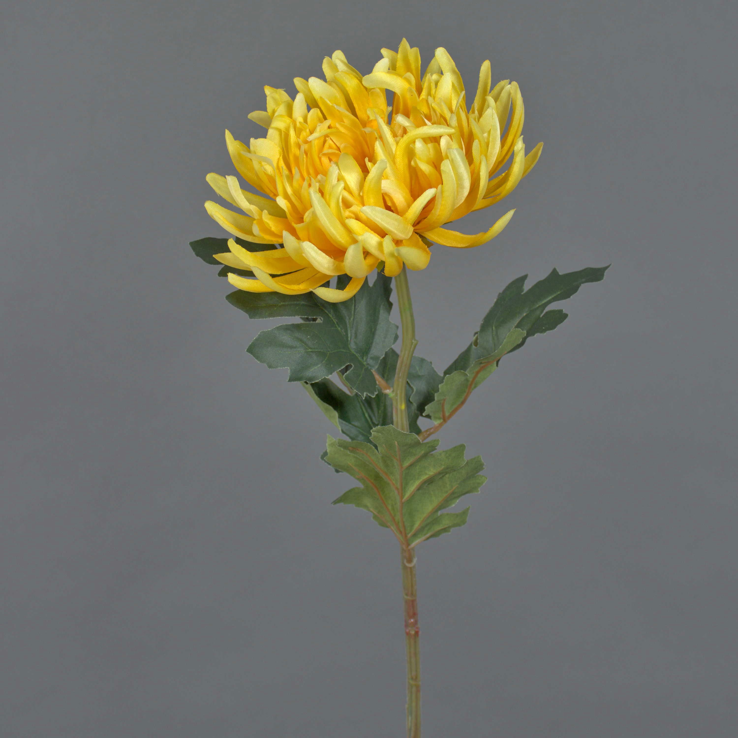 Kunstblume Chrysantheme LINGYUN, gelb, 65 cm Chrysantheme, artplants, Höhe 65.0 cm