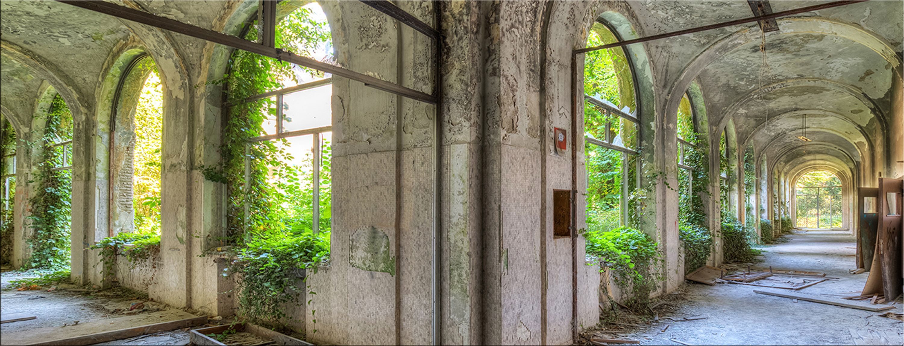 artissimo Glasbild Bild aus Glas 80x30 cm / Wandbild Querformat / Wanddeko modern, Architektur: Lost Place grün