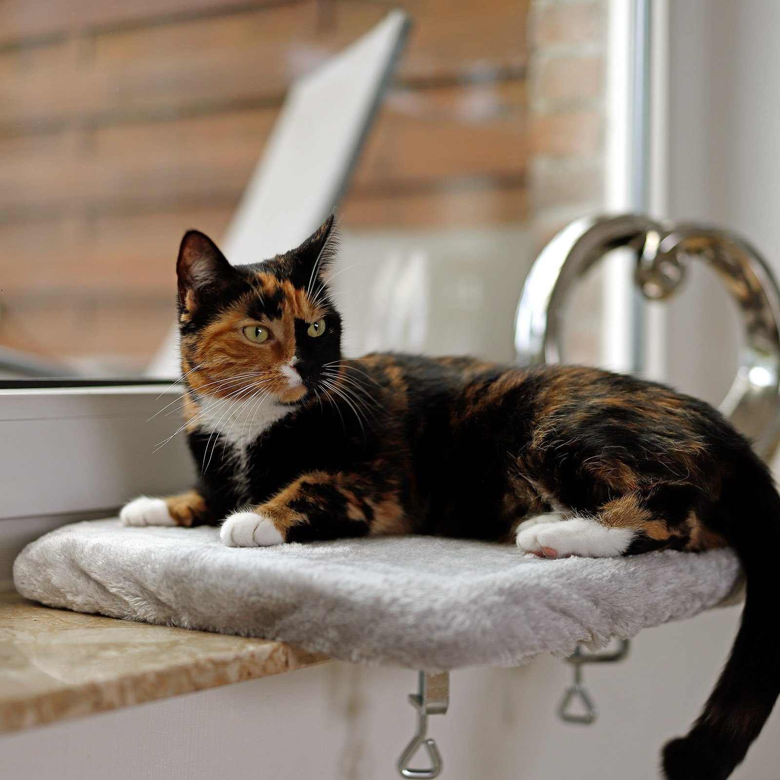 Futternapf Fensterbankliege für Katzen, versch. Farben