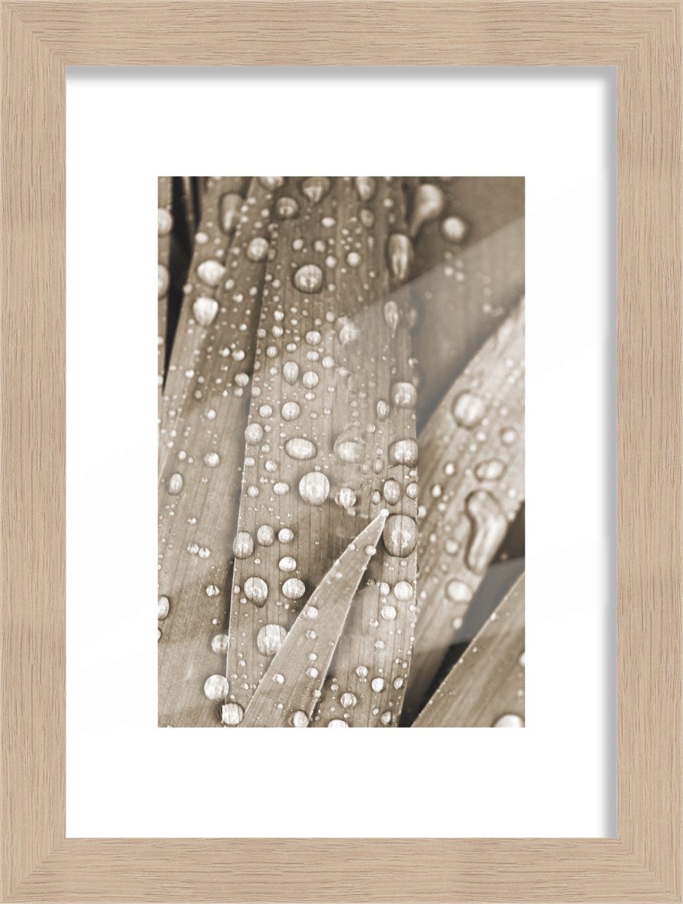 The Wall - the art of framing AG Bilderrahmen Bilderrahmen Holz Luzern eiche 15 x 21 cm