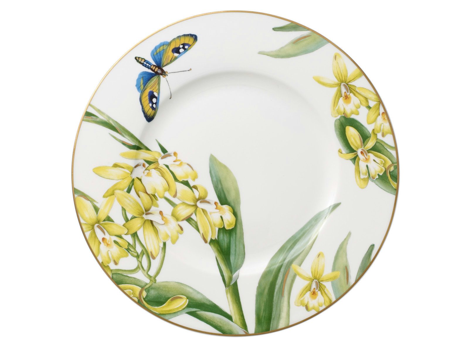 Villeroy & Boch Frühstücksteller Amazonia Anmut Frühstücksteller 22 cm
