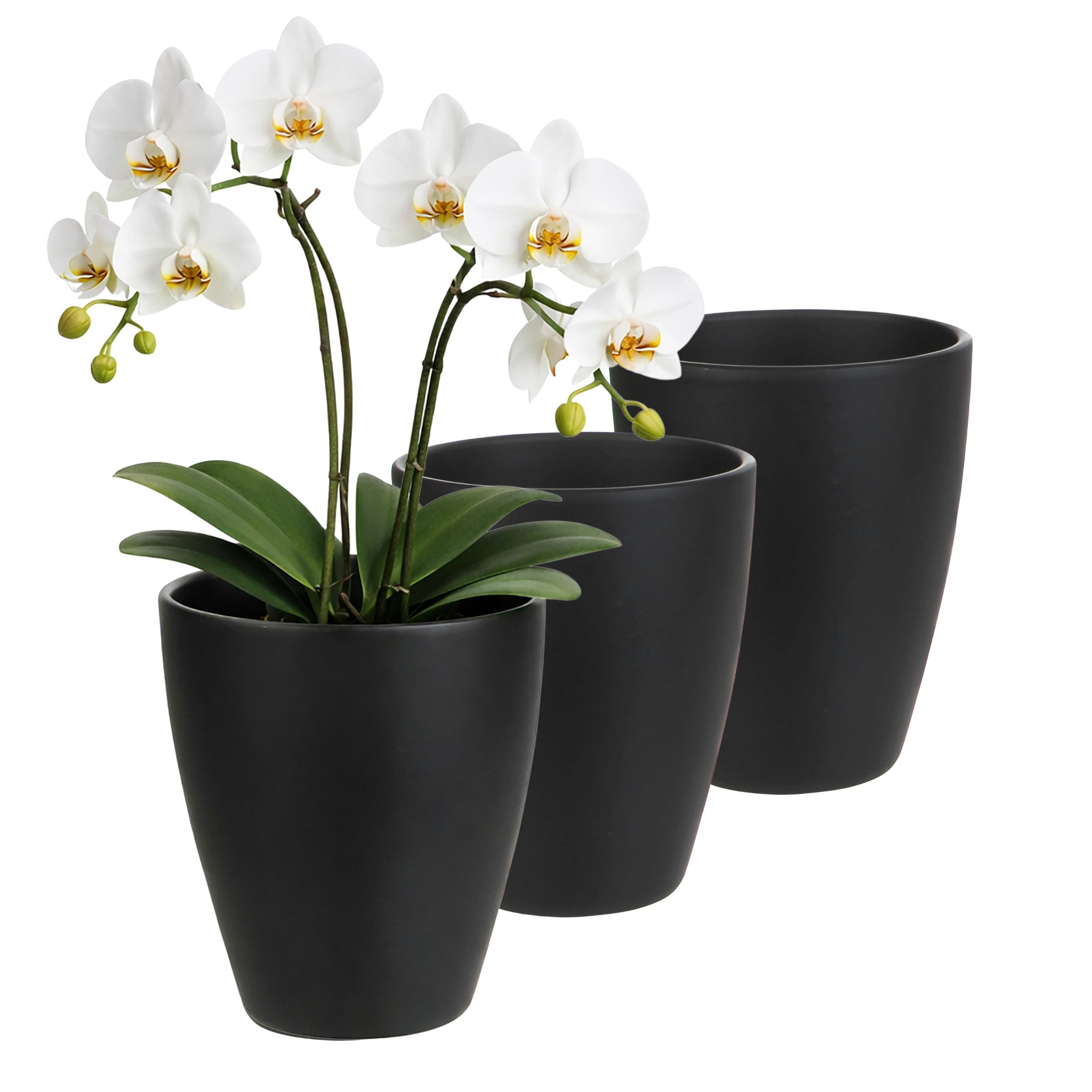 Annastore Übertopf 3 x Orchideentopf aus Keramik - Orchideenübertopf - Blumenübertopf, H 17 cm - Ø 13,5 cm