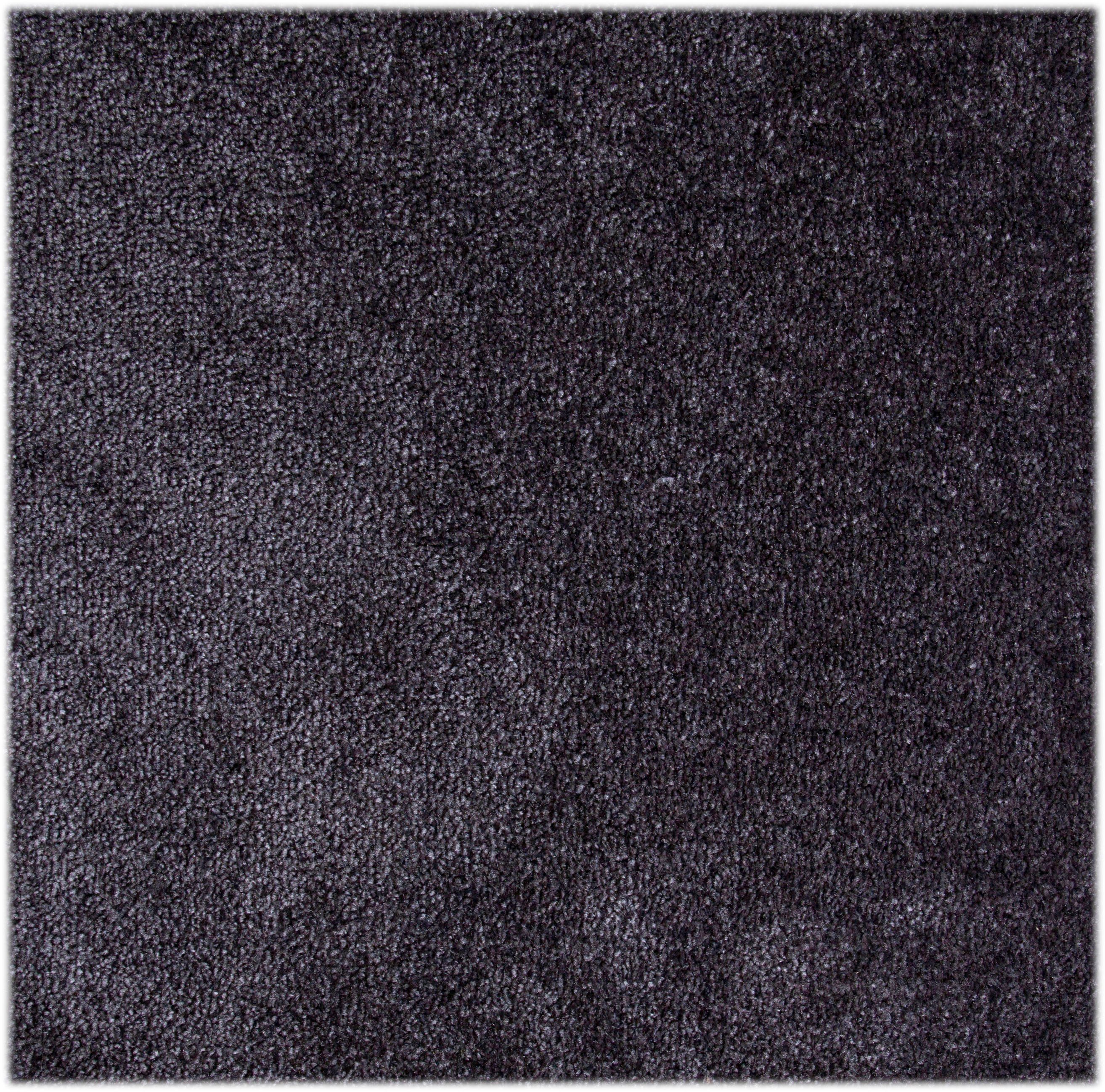 Teppichboden Velours Levin, Andiamo, rechteckig, Höhe: 10 mm, Uni Farben, Breite 400cm oder 500 cm, weiche Qualität, strapazierfähig anthrazit