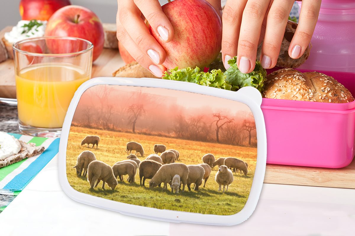 Mädchen, Gras, Kunststoff Tiere - Kunststoff, Schafe Erwachsene, MuchoWow (2-tlg), Snackbox, Brotdose Brotbox Lunchbox rosa Kinder, - für